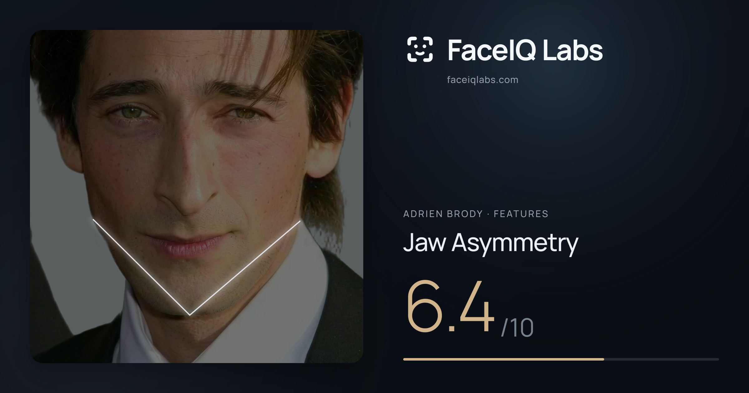 Adrien Brody Jaw Asymmetry: 6.4/10, drawn on the photo