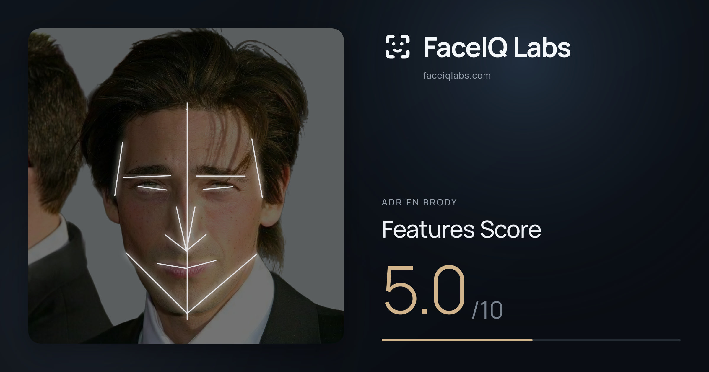 Adrien Brody Features: 5.0/10, with each assessment drawn on the photo