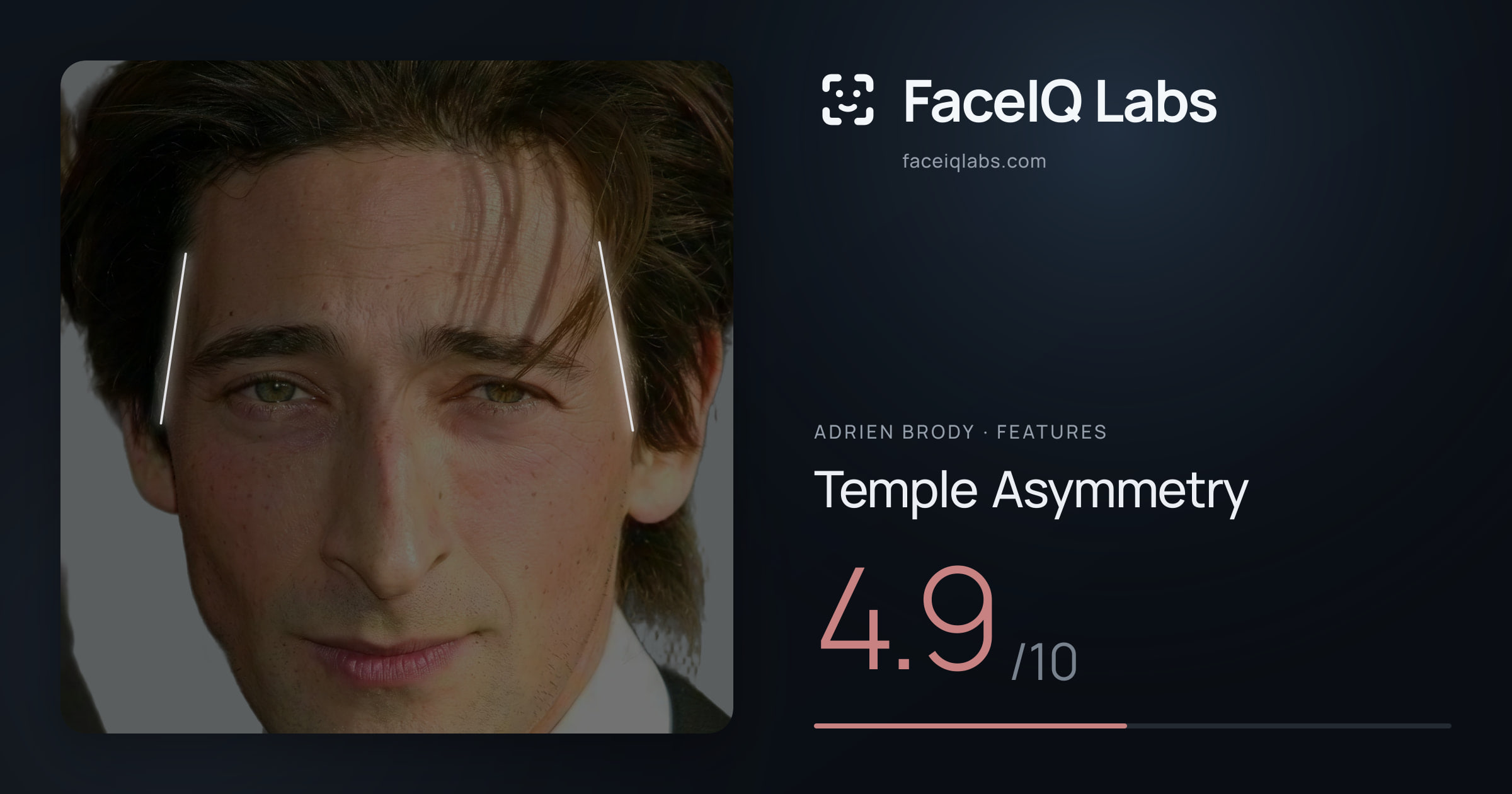 Adrien Brody Temple Asymmetry: 4.9/10, drawn on the photo