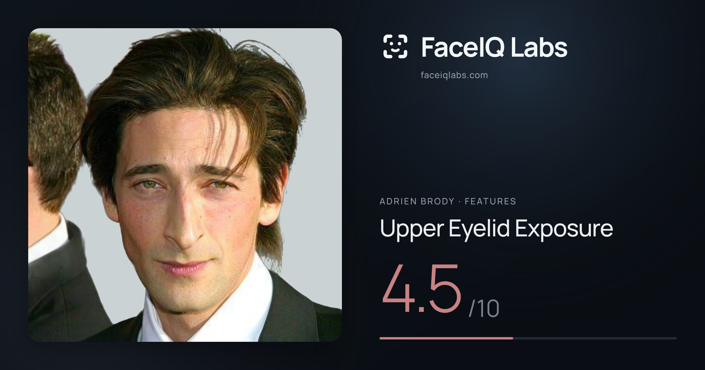 Adrien Brody Upper Eyelid Exposure: 4.5/10, drawn on the photo