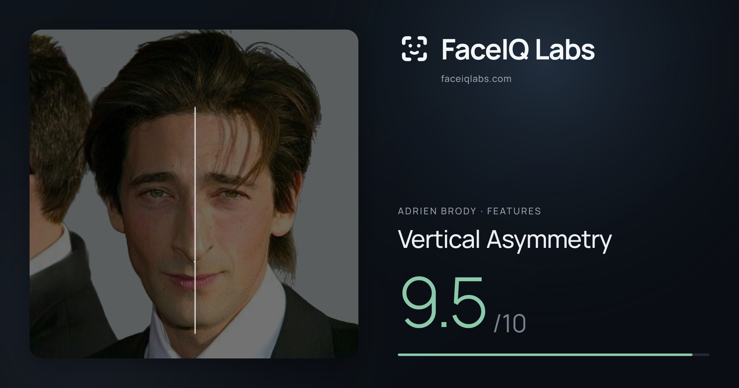 Adrien Brody Vertical Asymmetry: 9.5/10, drawn on the photo