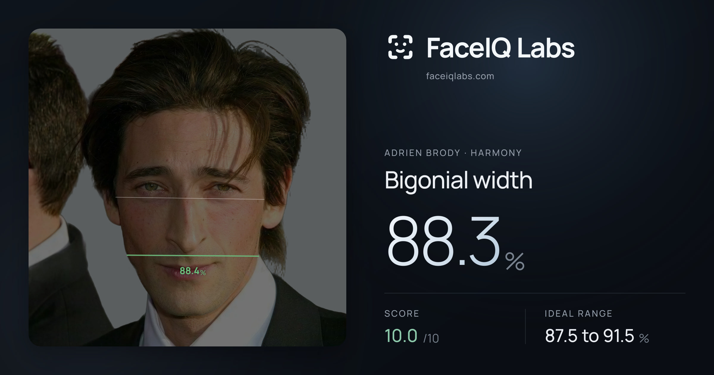 Adrien Brody Bigonial width: 88.3%, drawn on the photo