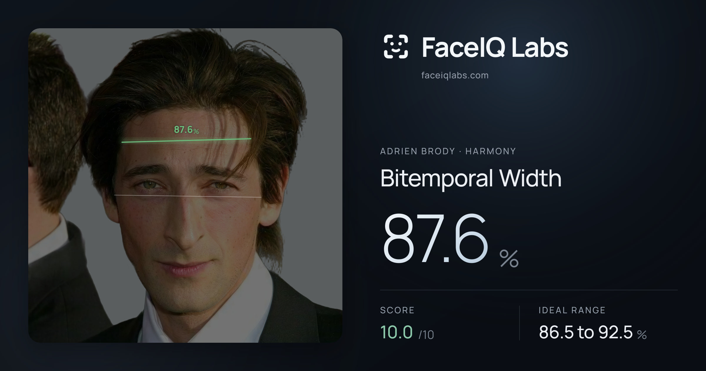 Adrien Brody Bitemporal Width: 87.6%, drawn on the photo