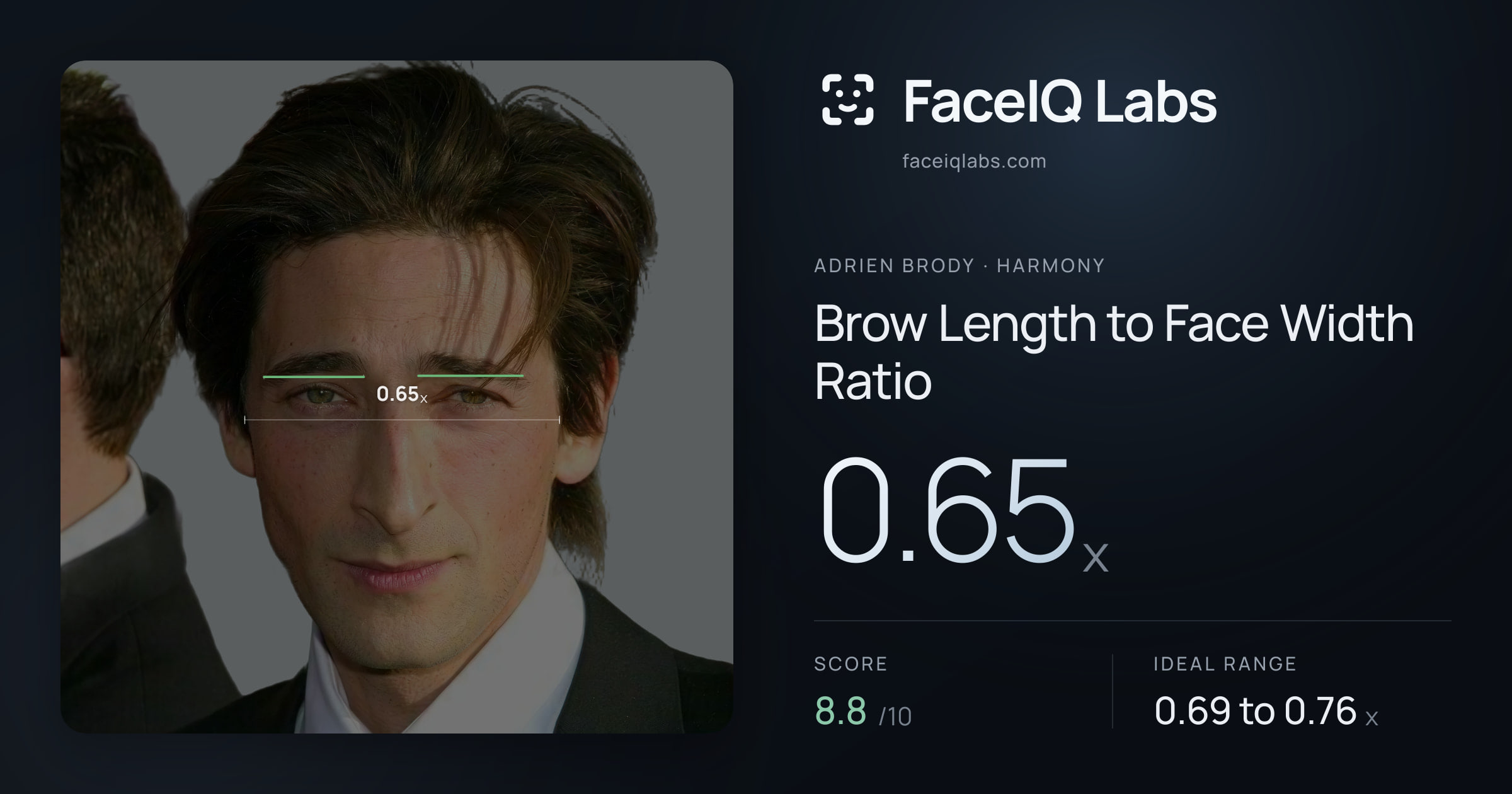 Adrien Brody Brow Length to Face Width Ratio: 0.65x, drawn on the photo