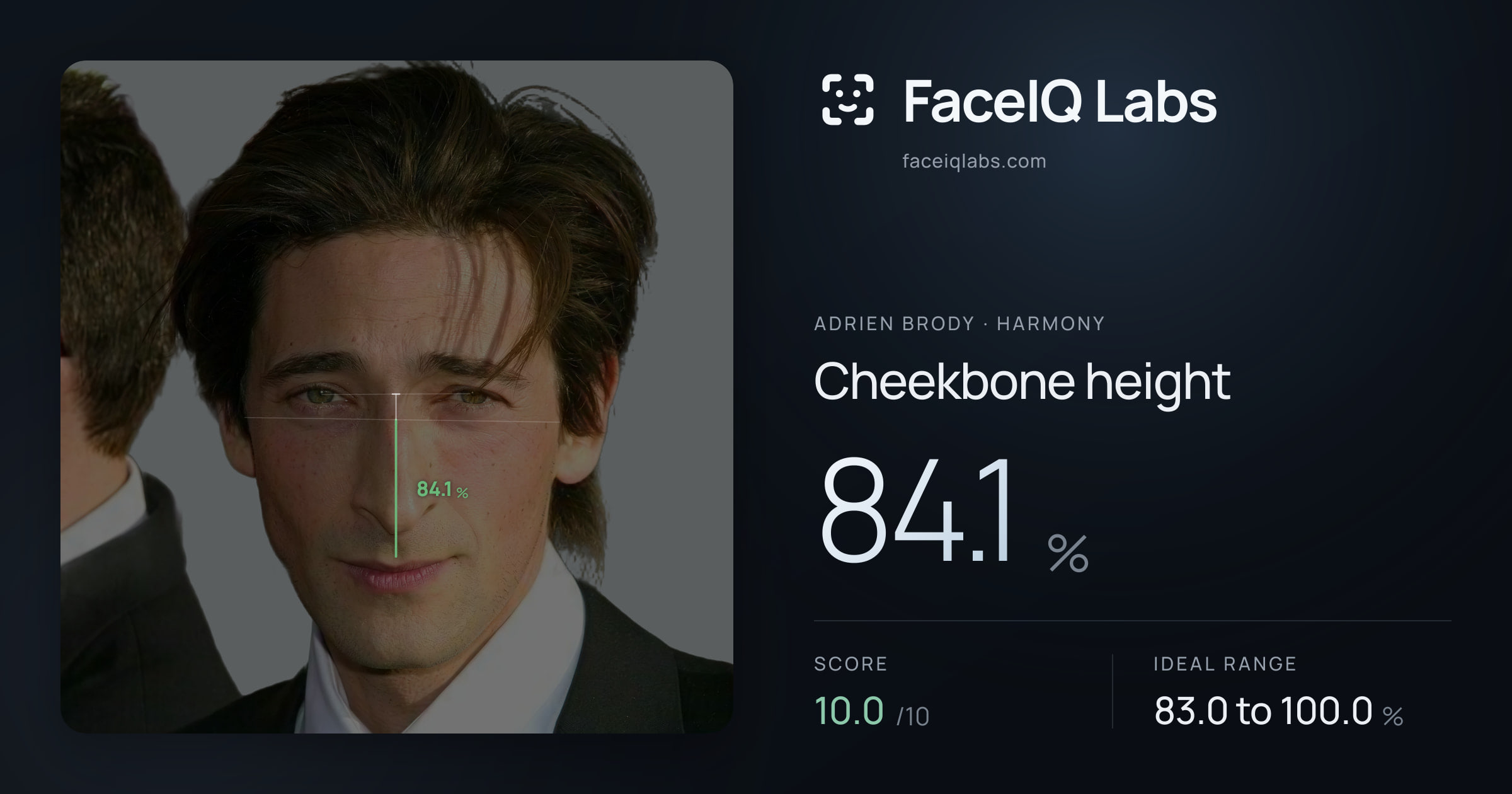 Adrien Brody Cheekbone height: 84.1%, drawn on the photo