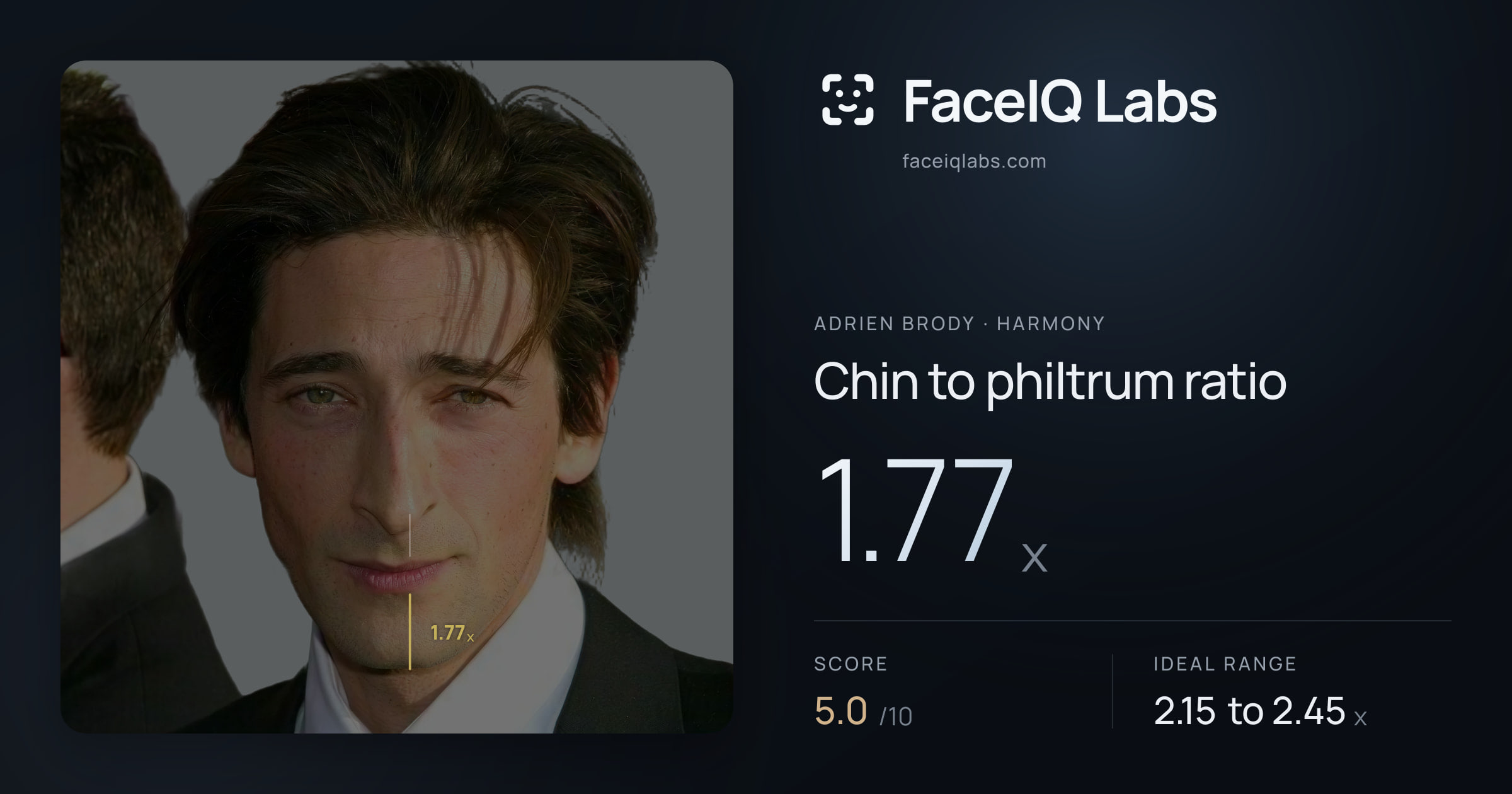 Adrien Brody Chin to philtrum ratio: 1.77x, drawn on the photo