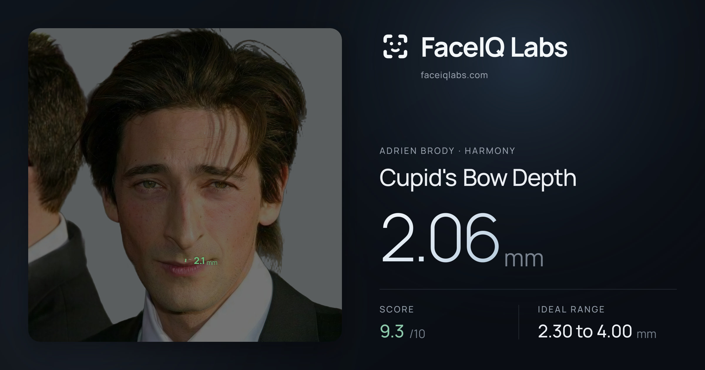 Adrien Brody Cupid's Bow Depth: 2.06mm, drawn on the photo