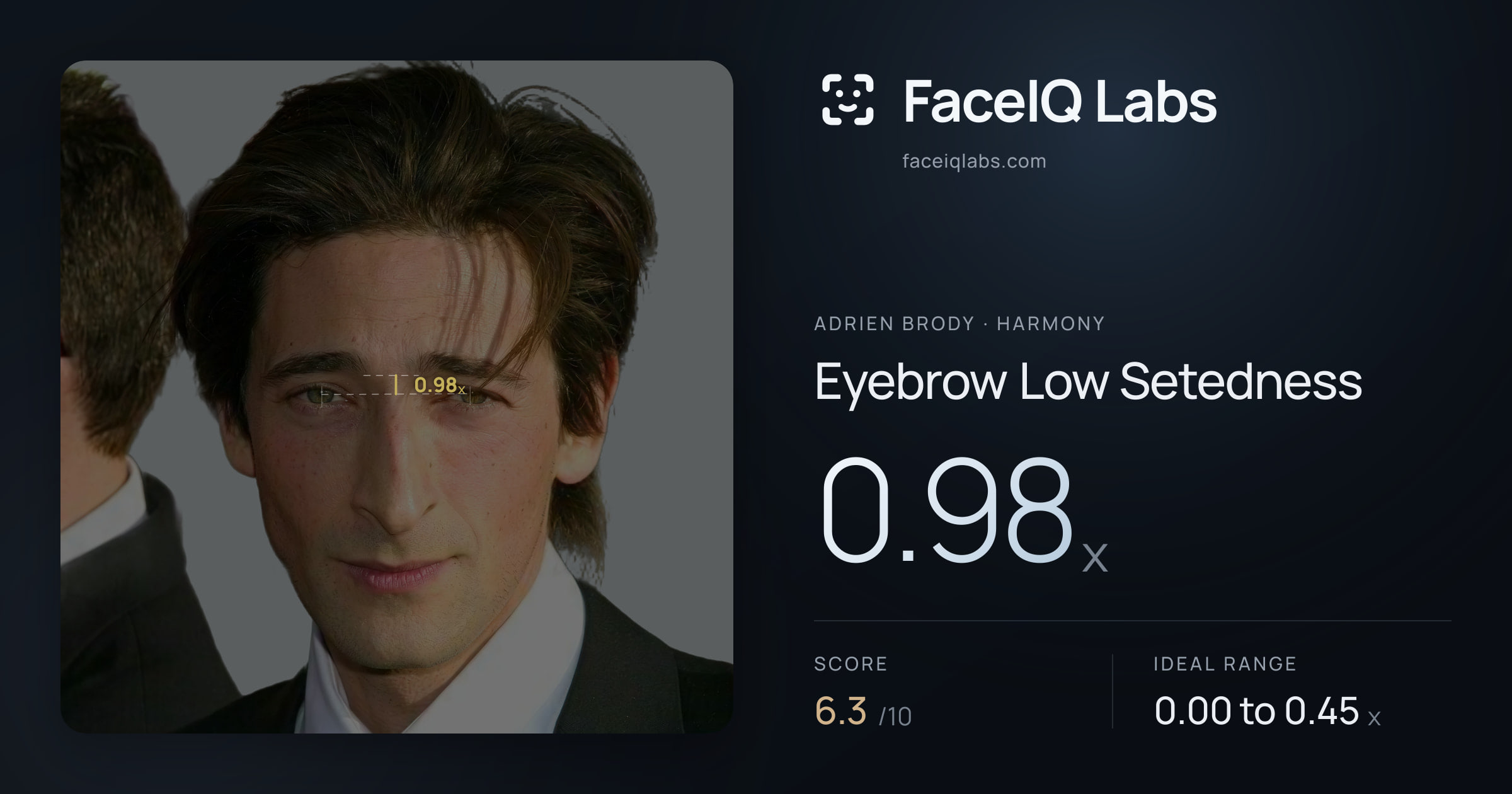 Adrien Brody Eyebrow Low Setedness: 0.98x, drawn on the photo