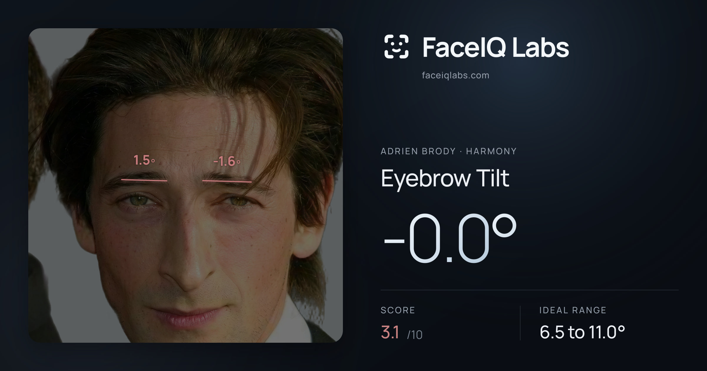 Adrien Brody Eyebrow Tilt: -0.0°, drawn on the photo