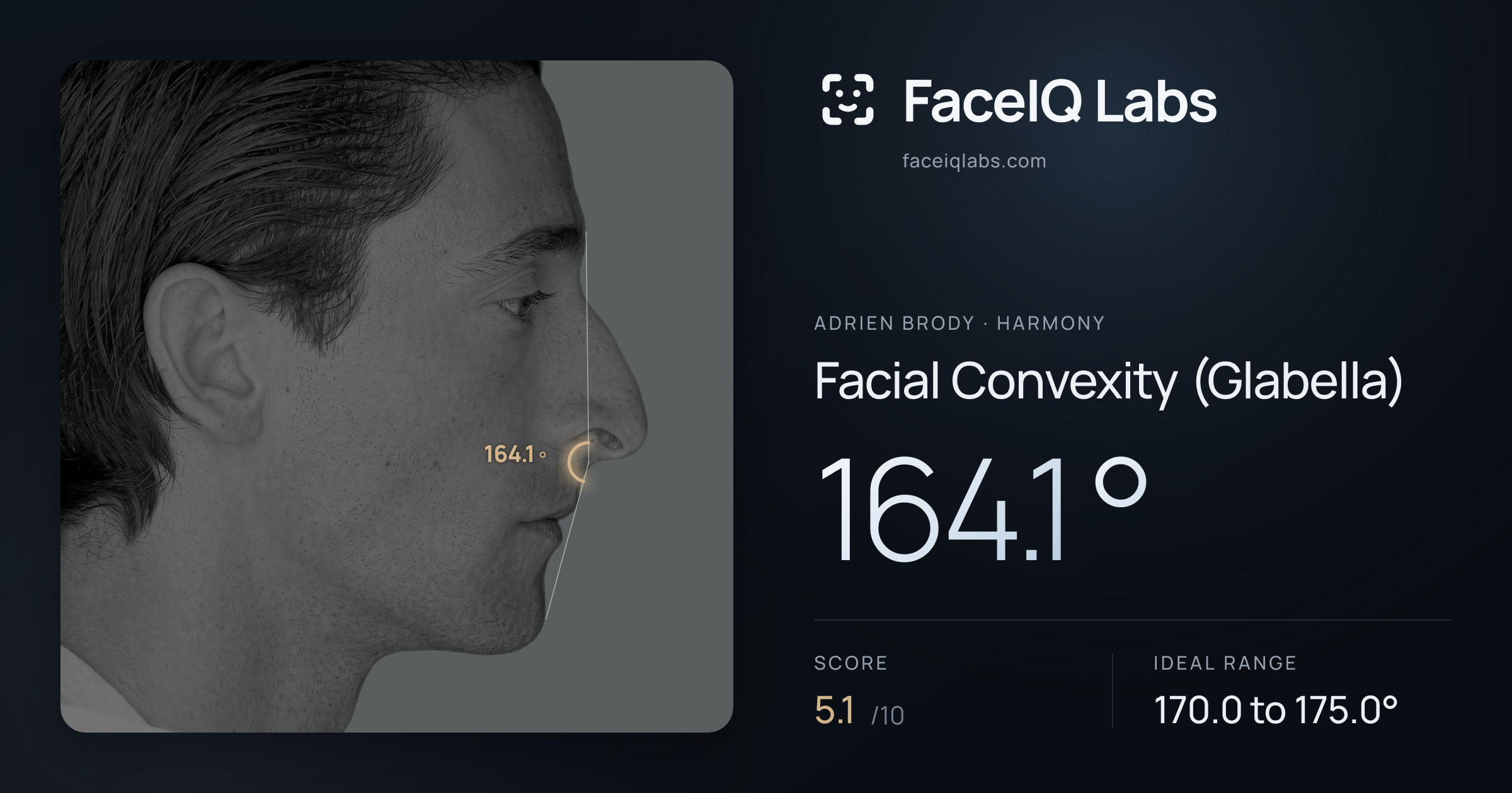 Adrien Brody Facial Convexity (Glabella): 164.1°, drawn on the photo