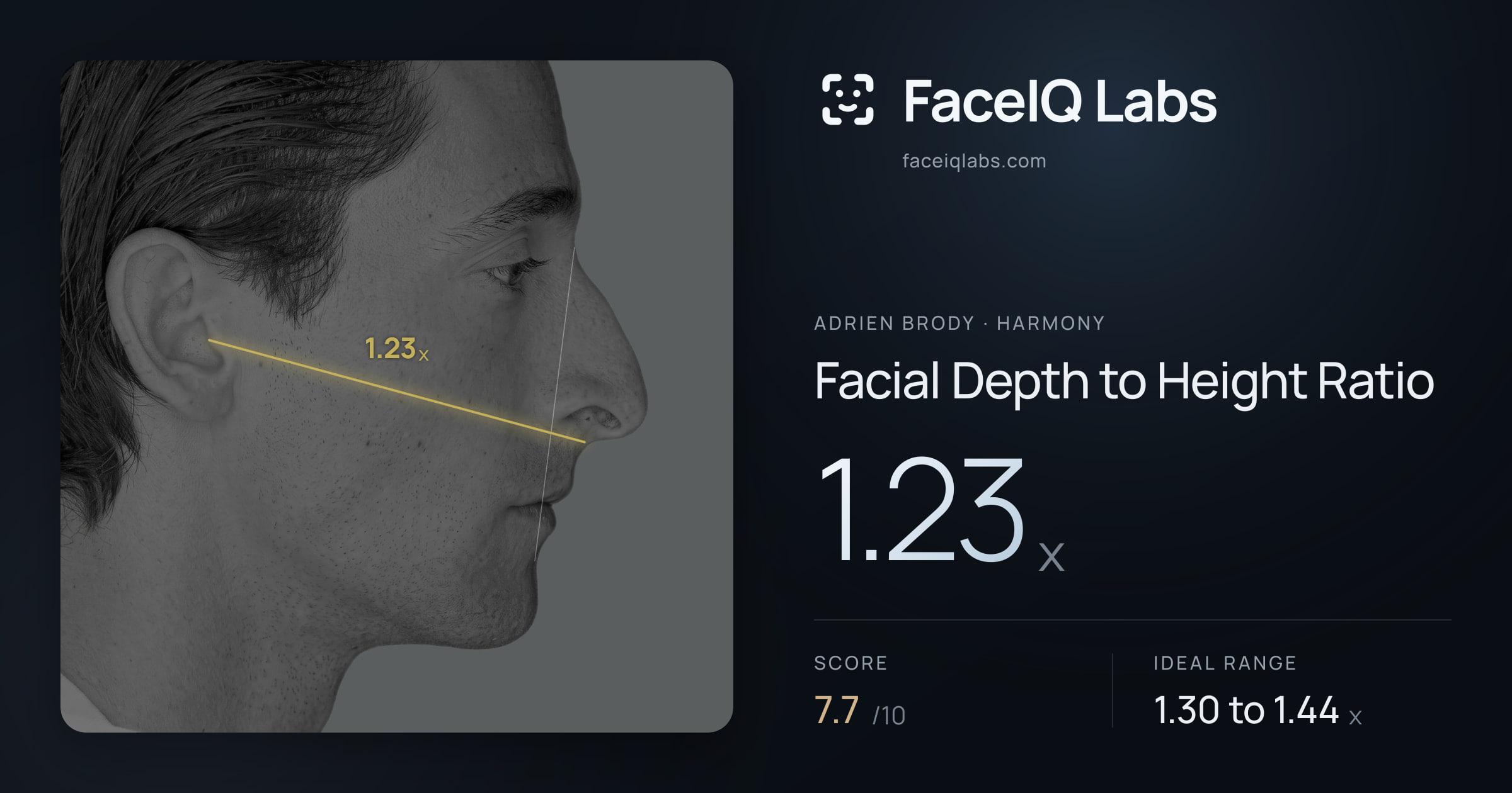 Adrien Brody Facial Depth to Height Ratio: 1.23x, drawn on the photo