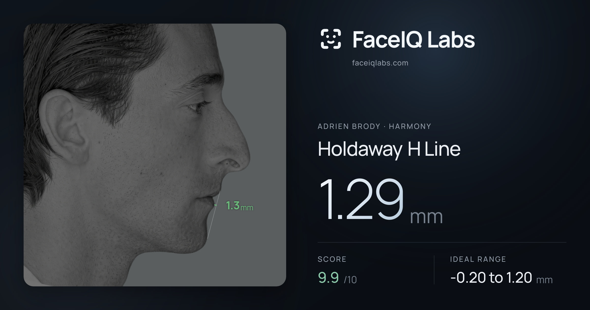 Adrien Brody Holdaway H Line: 1.29mm, drawn on the photo