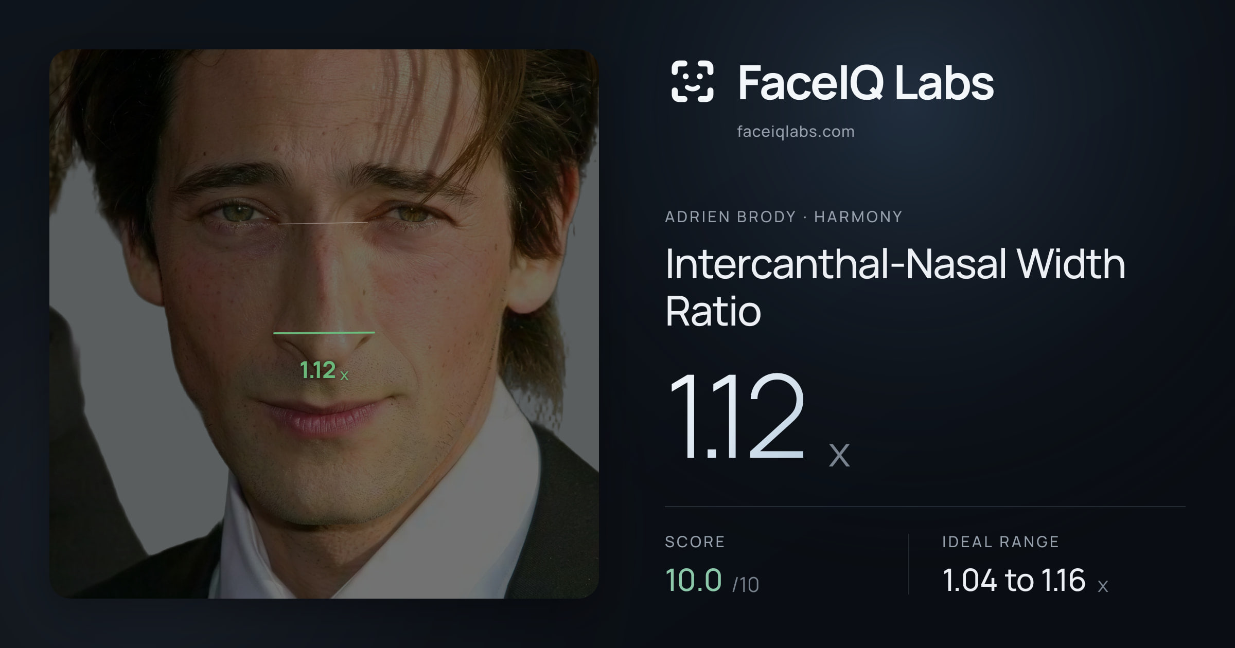 Adrien Brody Intercanthal-Nasal Width Ratio: 1.12x, drawn on the photo