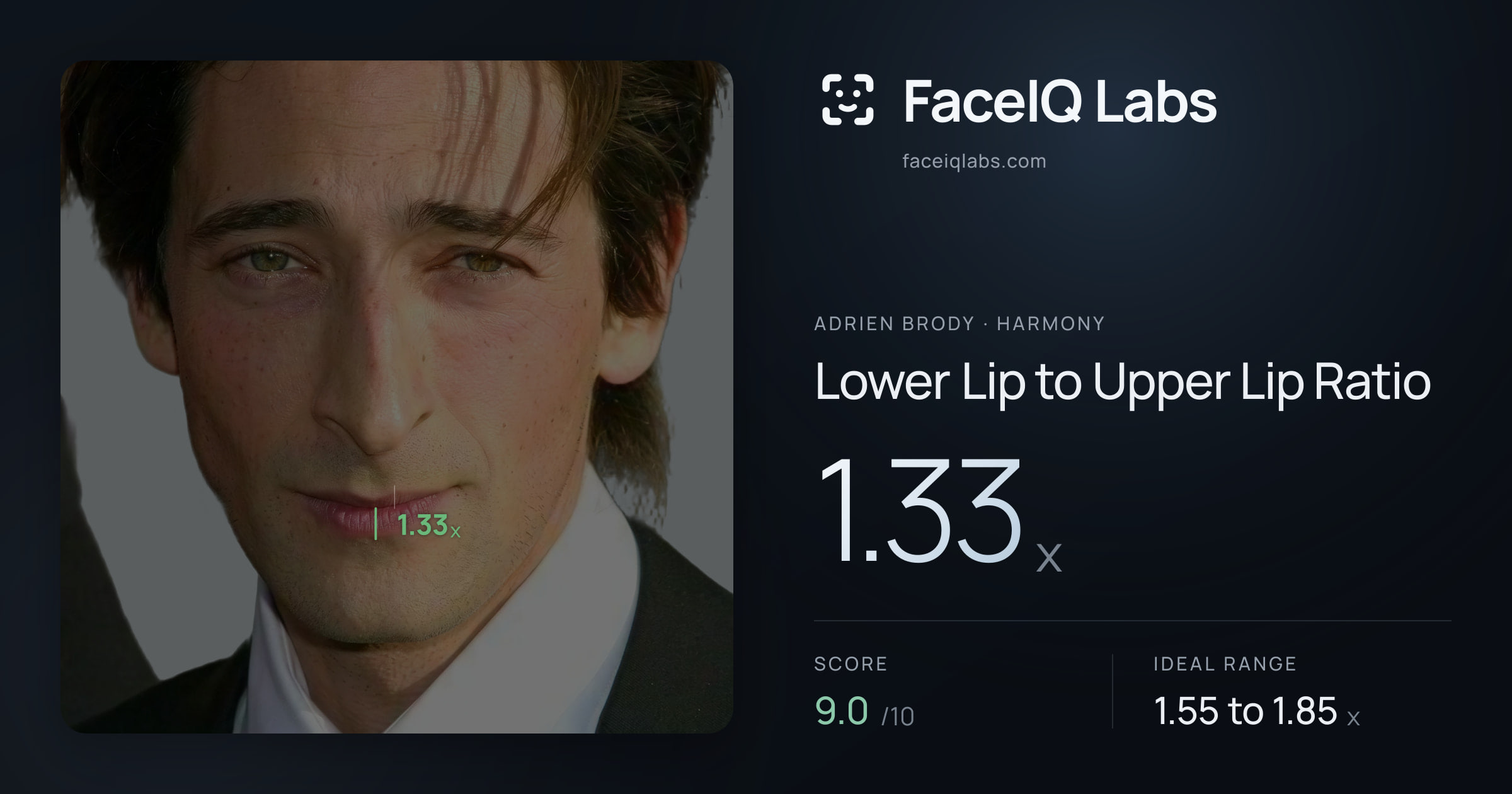 Adrien Brody Lower Lip to Upper Lip Ratio: 1.33x, drawn on the photo