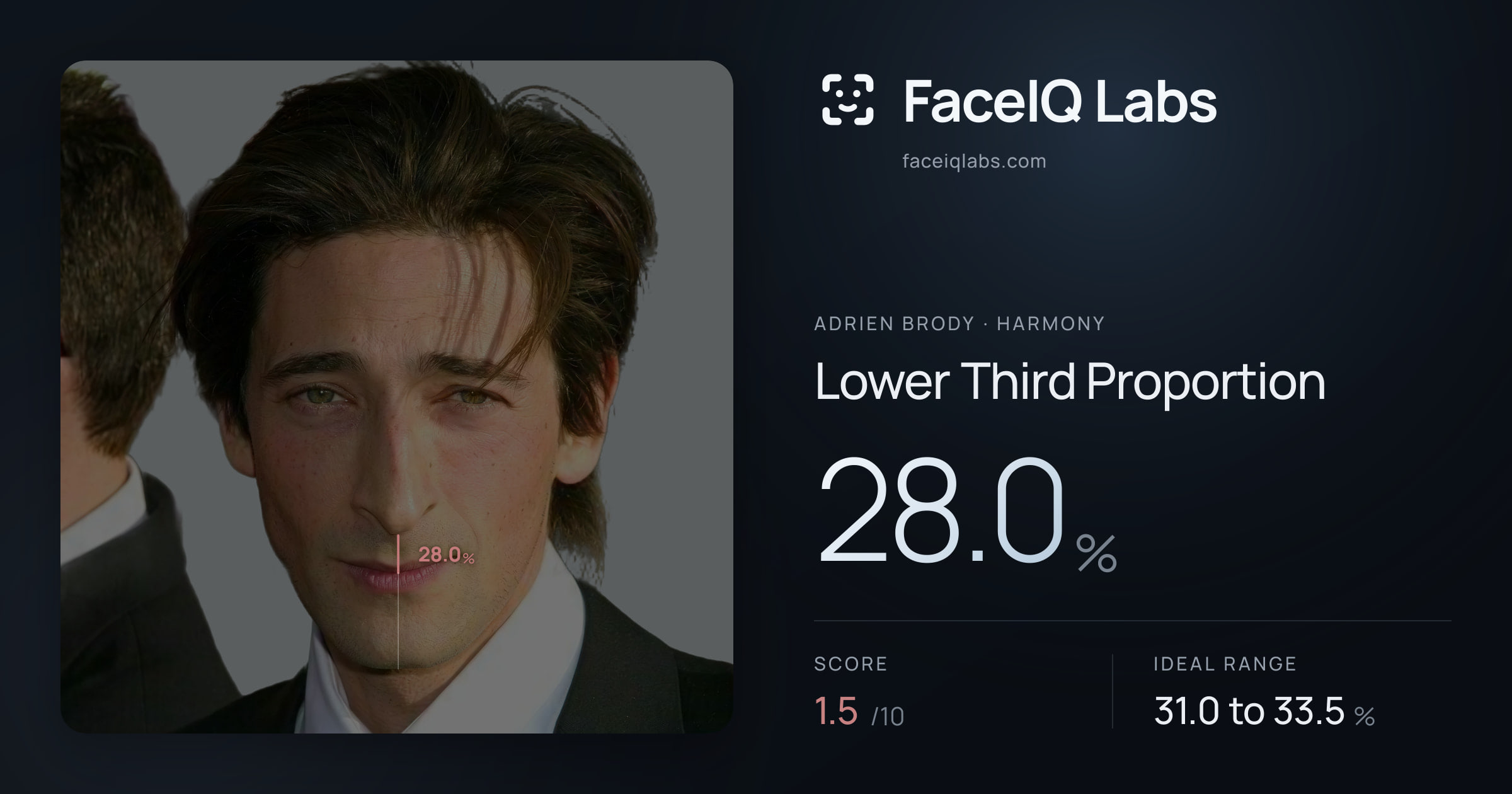 Adrien Brody Lower Third Proportion: 28.0%, drawn on the photo