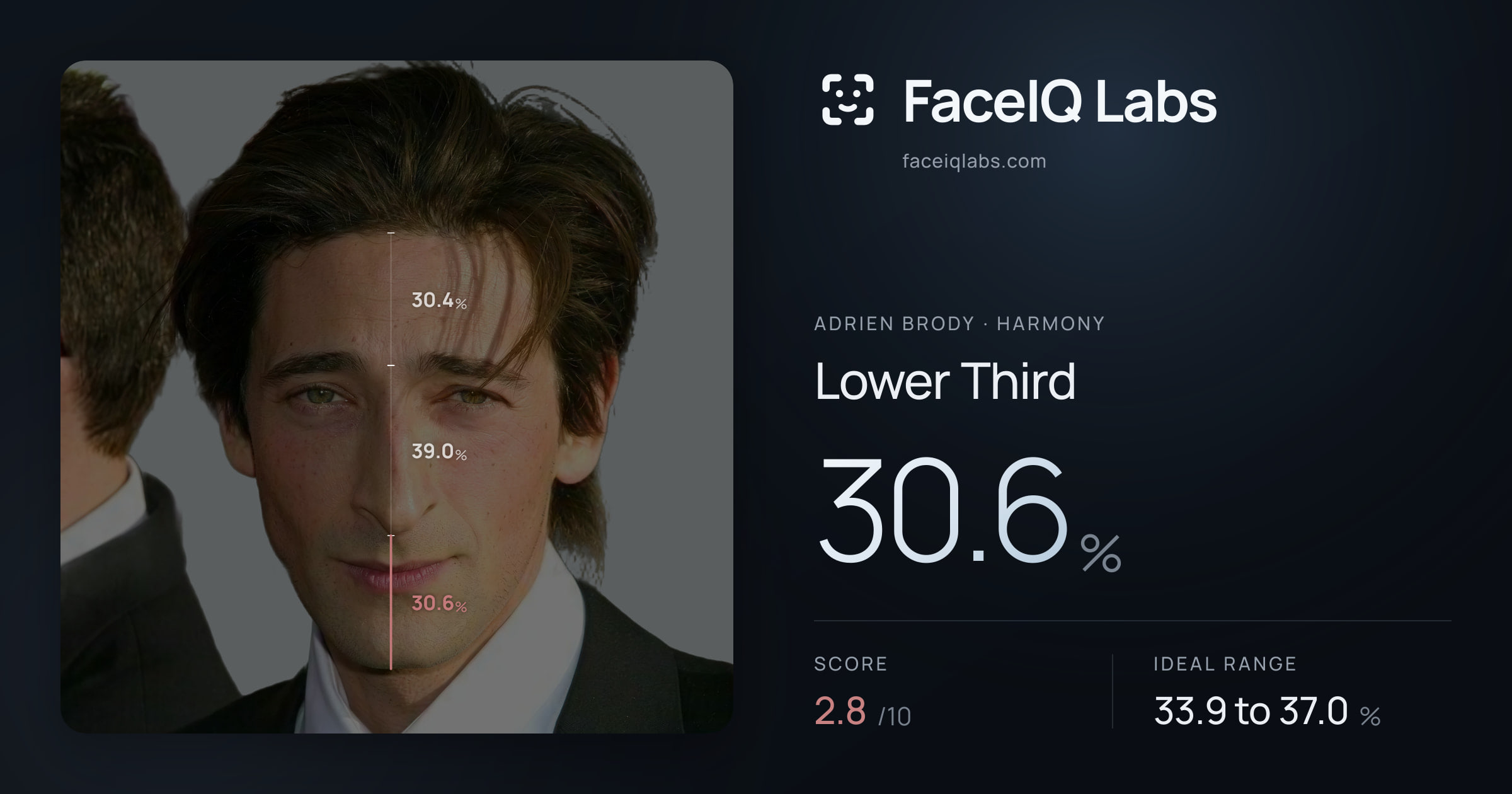 Adrien Brody Lower Third: 30.6%, drawn on the photo