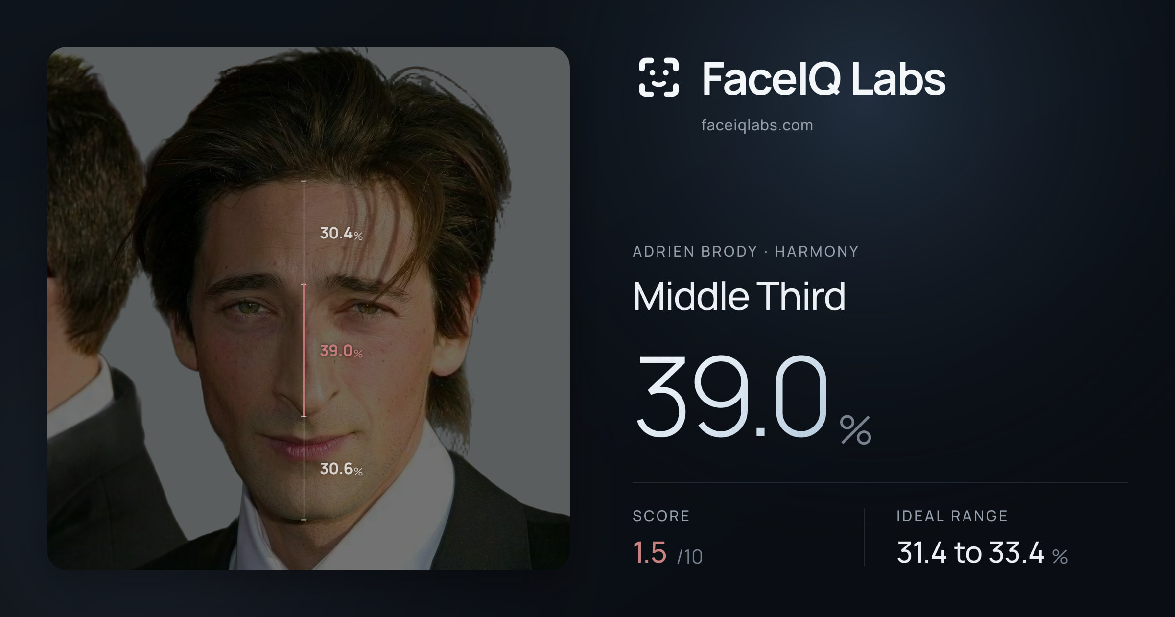 Adrien Brody Middle Third: 39.0%, drawn on the photo