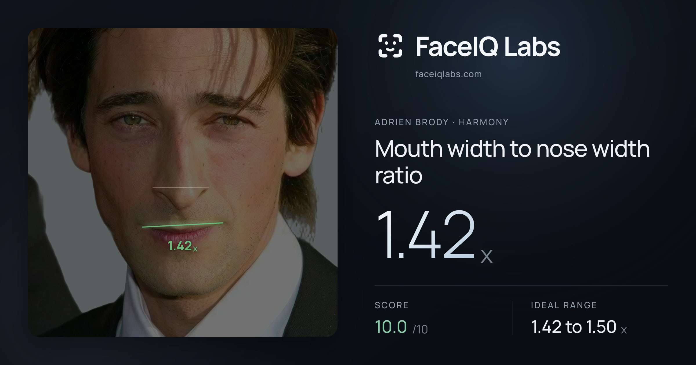 Adrien Brody Mouth width to nose width ratio: 1.42x, drawn on the photo