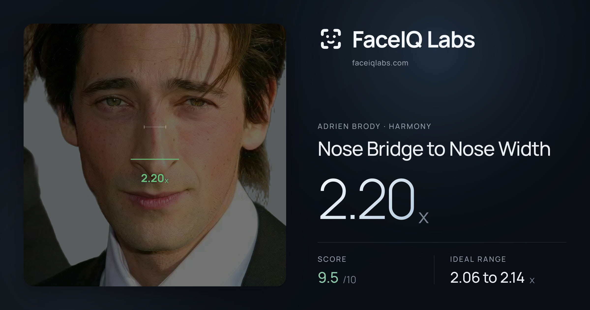 Adrien Brody Nose Bridge to Nose Width: 2.20x, drawn on the photo