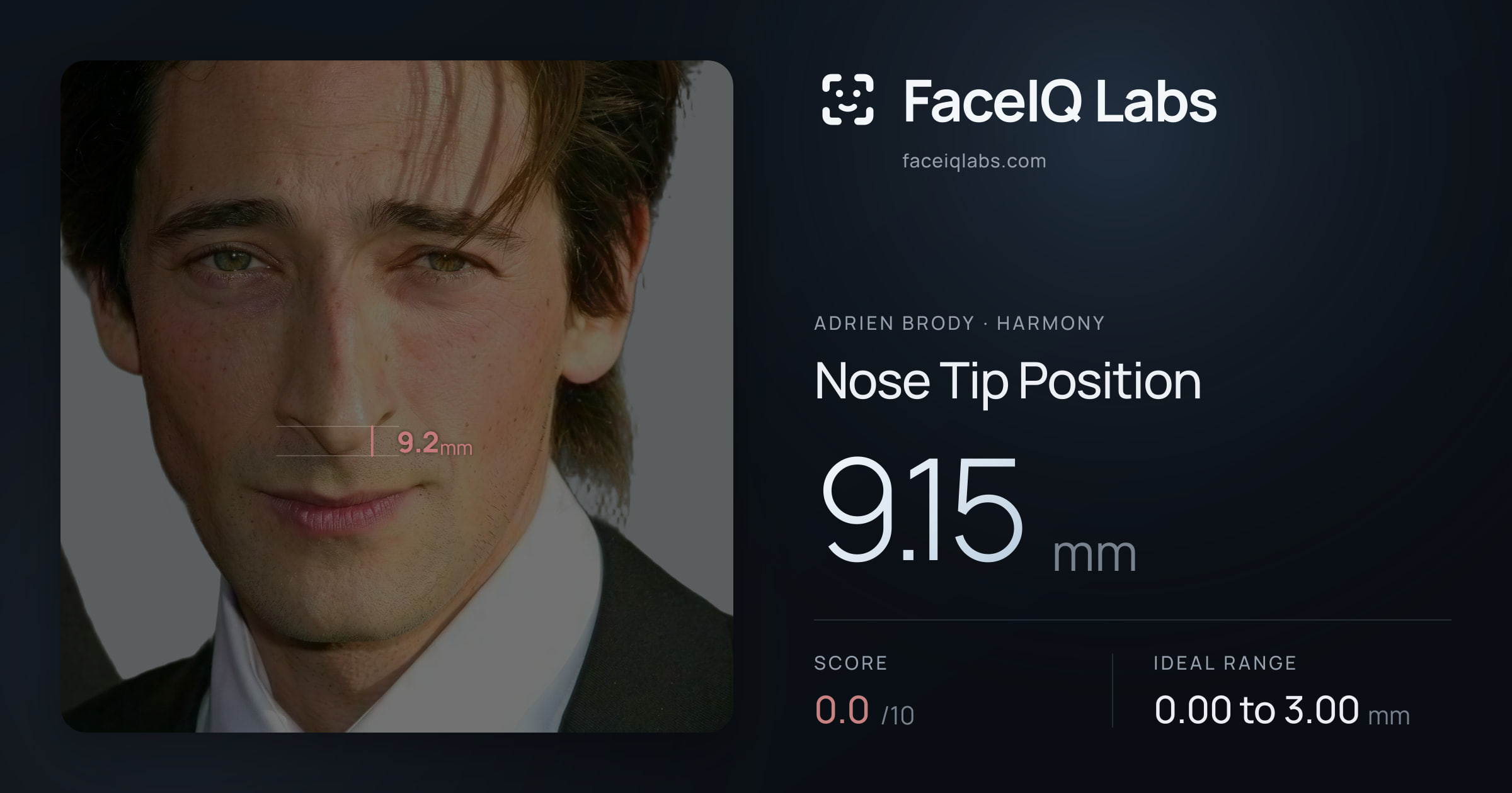 Adrien Brody Nose Tip Position: 9.15mm, drawn on the photo