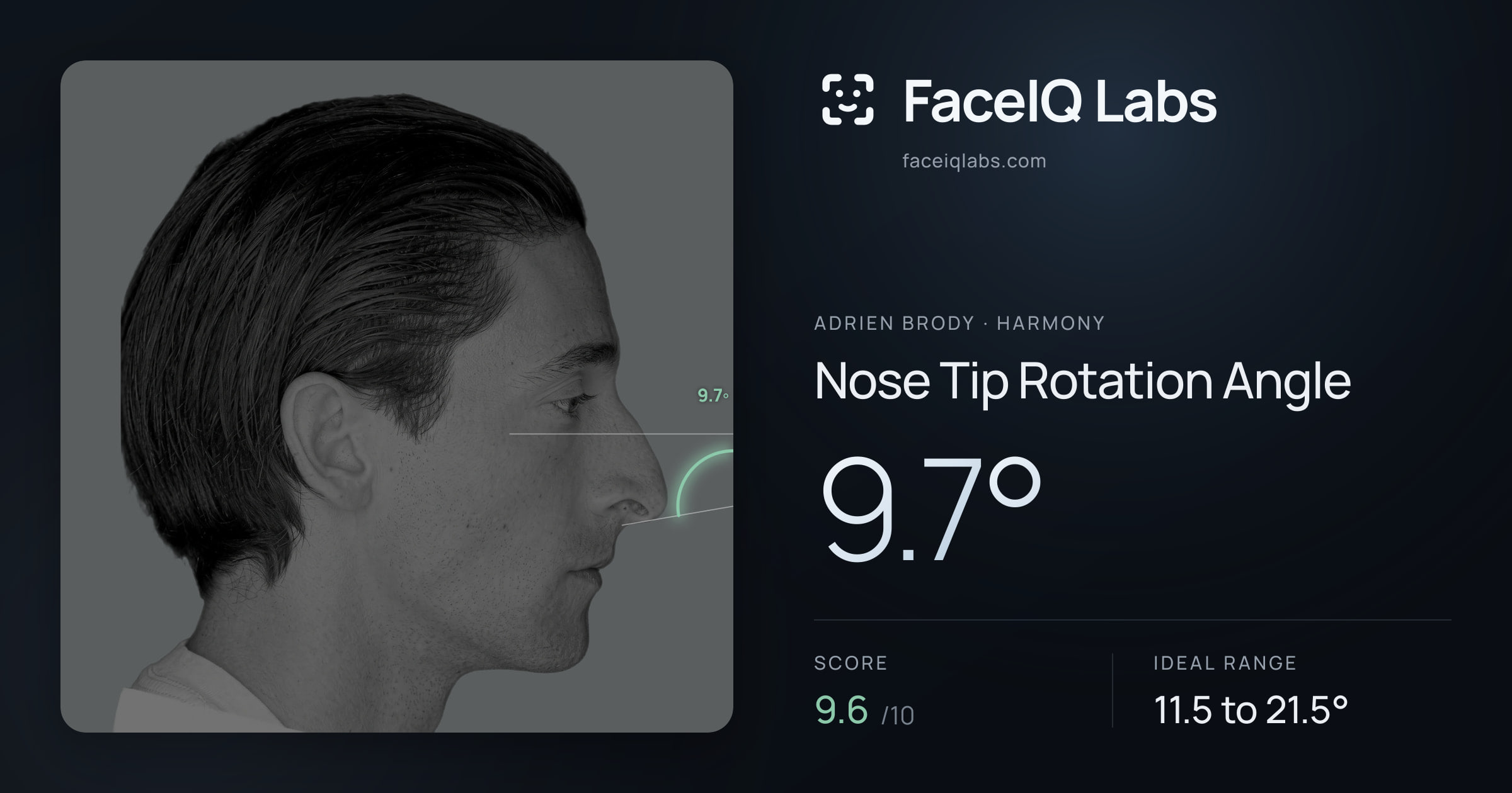 Adrien Brody Nose Tip Rotation Angle: 9.7°, drawn on the photo