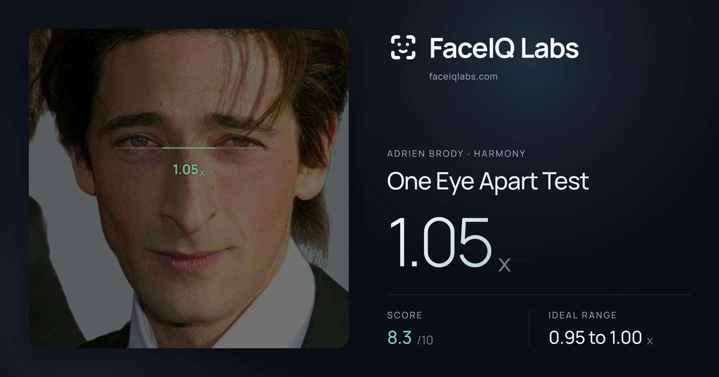 Adrien Brody One Eye Apart Test: 1.05x, drawn on the photo