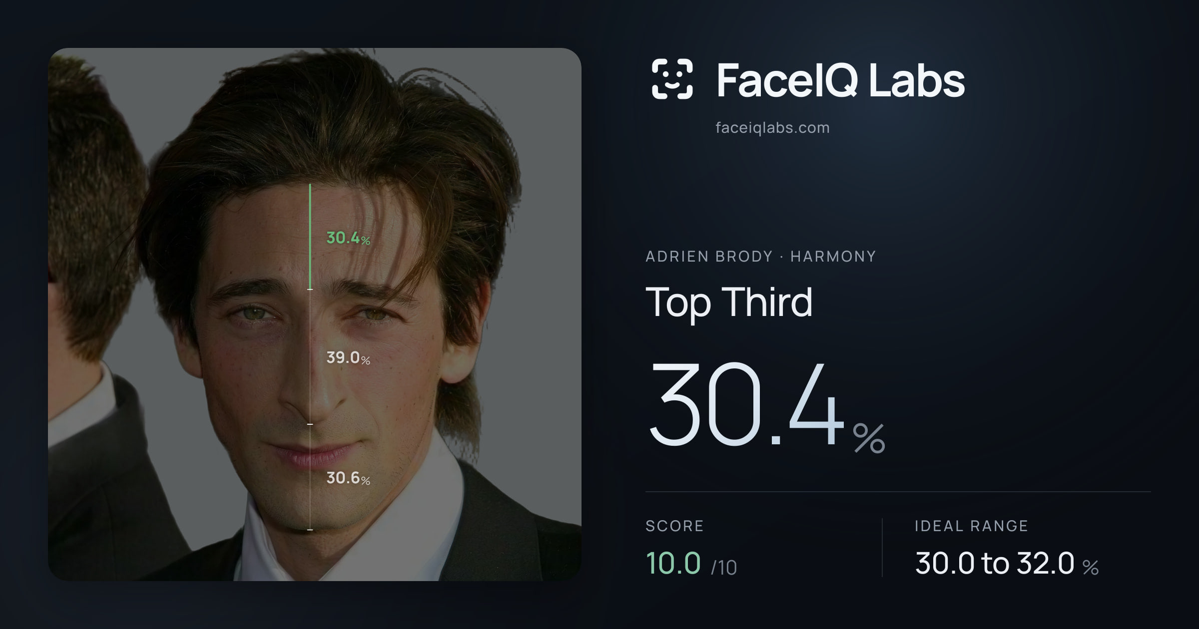 Adrien Brody Top Third: 30.4%, drawn on the photo
