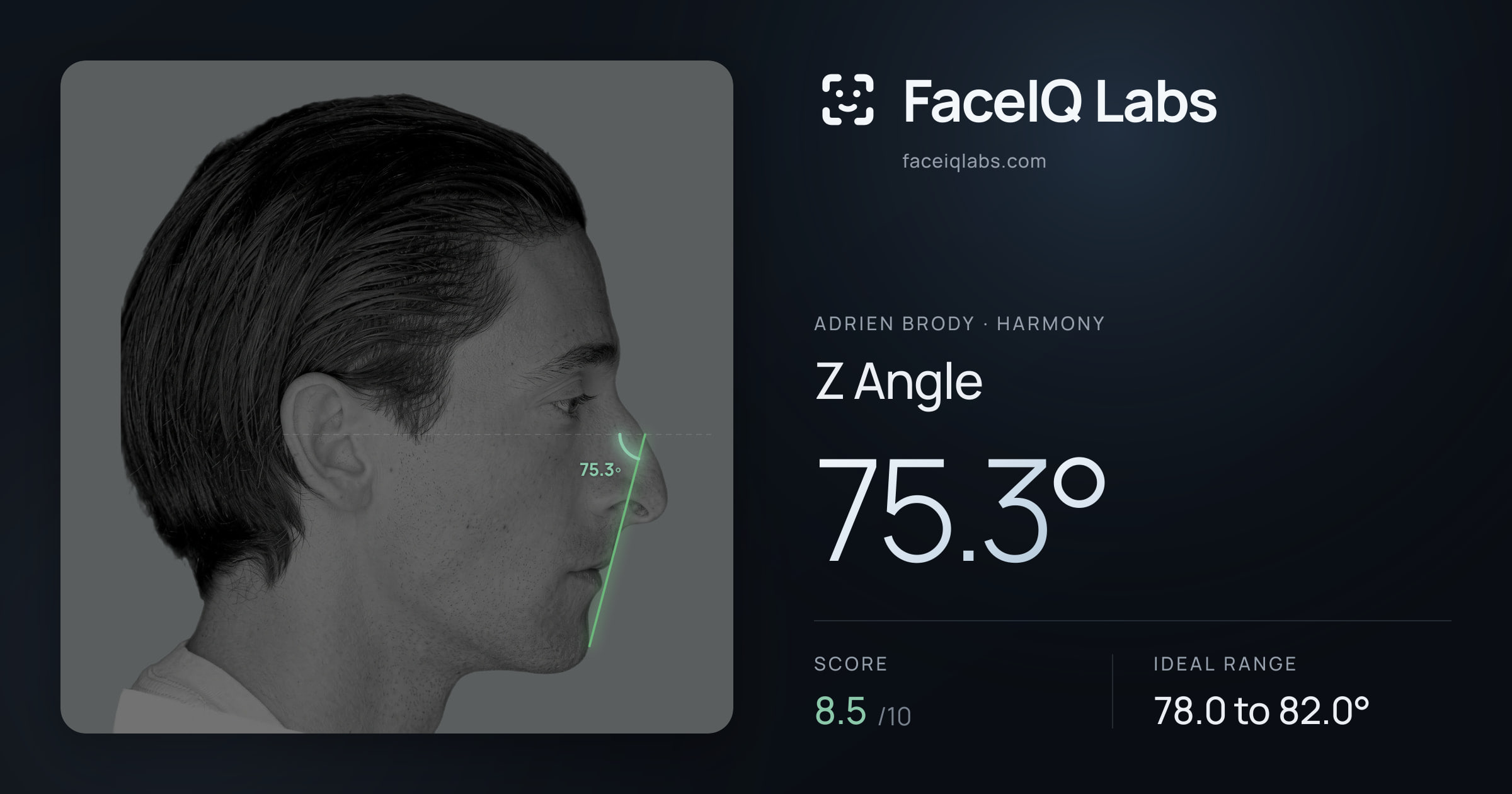 Adrien Brody Z Angle: 75.3°, drawn on the photo