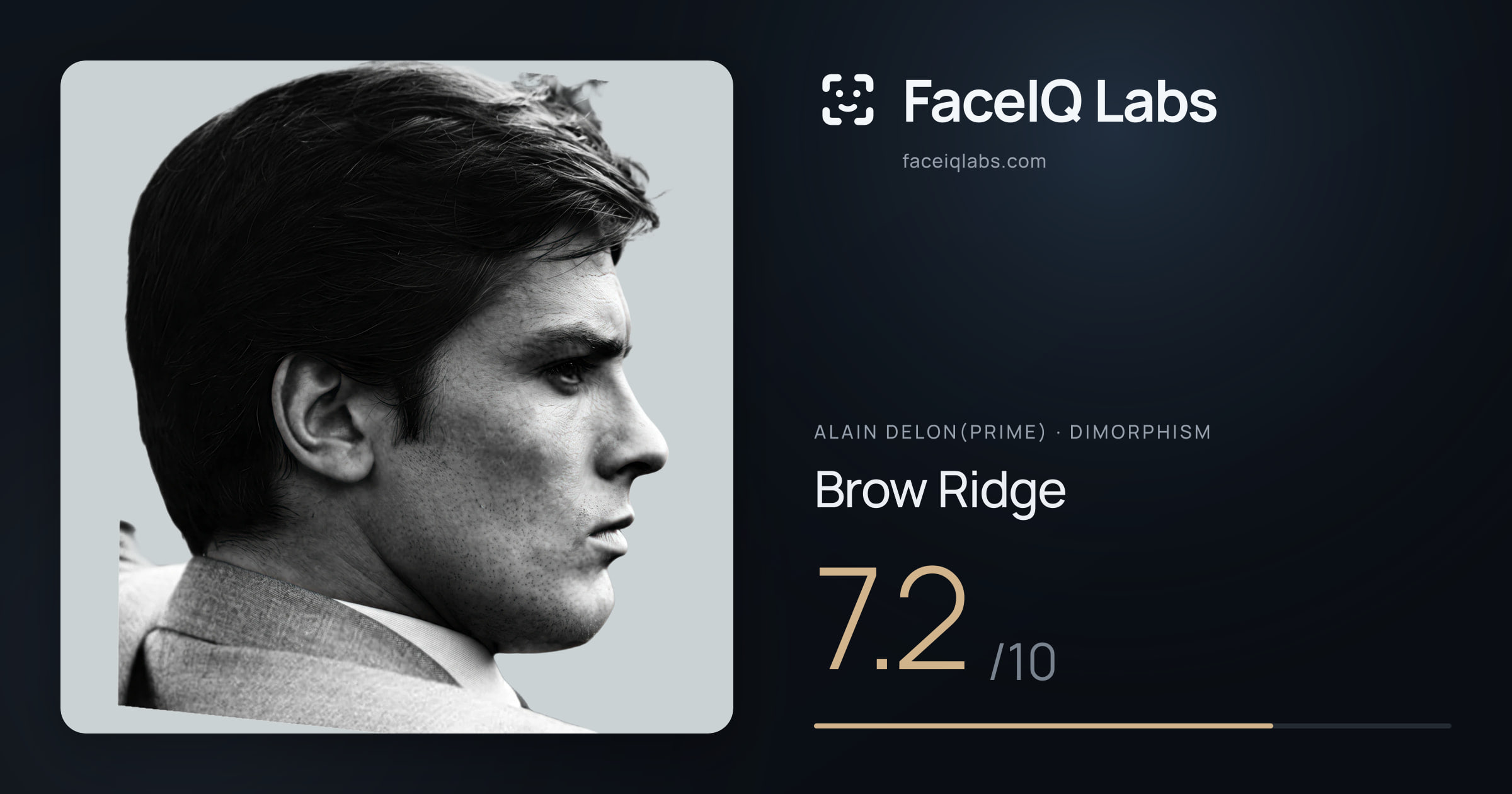 Alain Delon(prime) Brow Ridge: 7.2/10, drawn on the photo
