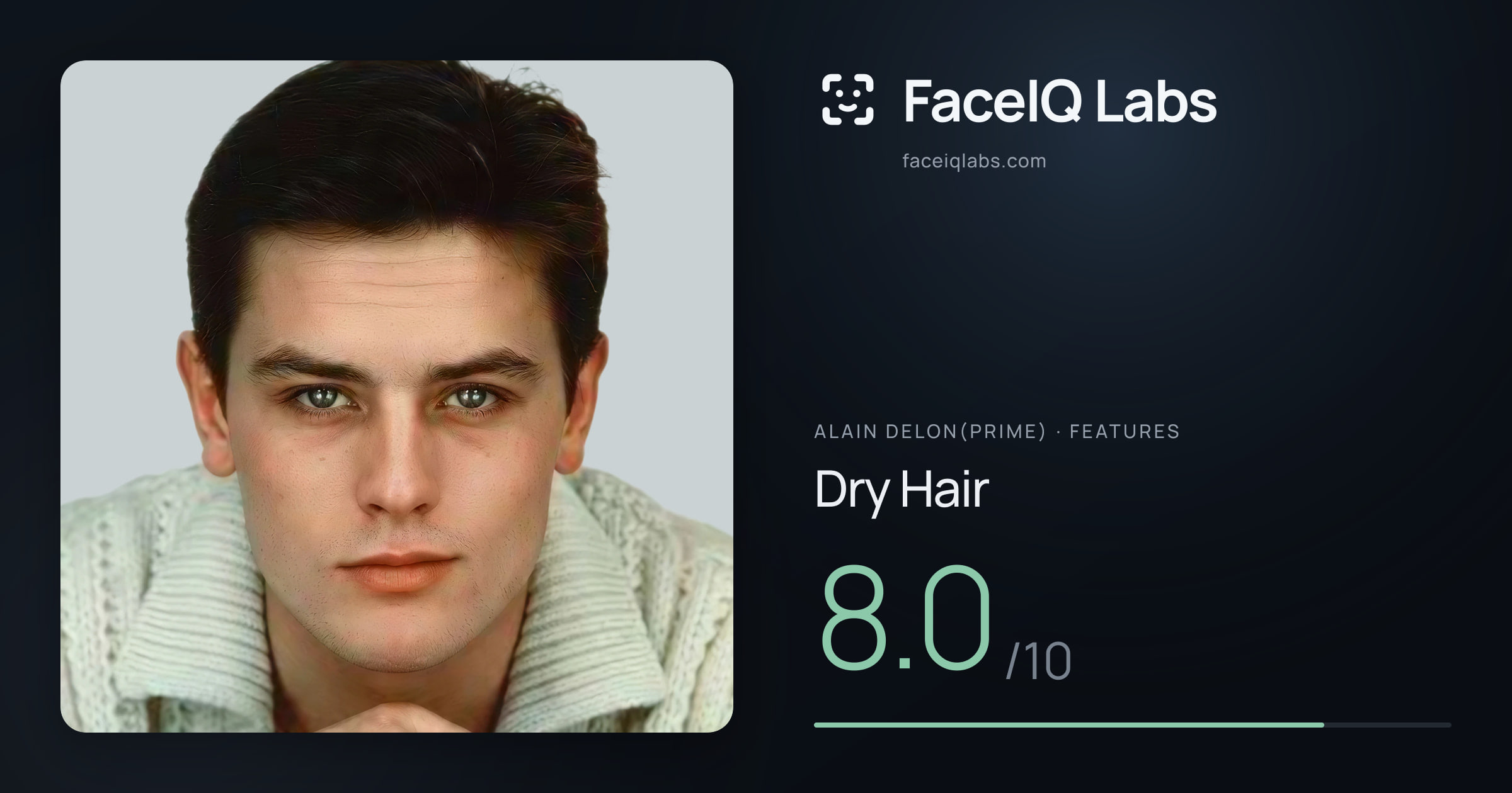 Alain Delon(prime) Dry Hair: 8.0/10, drawn on the photo