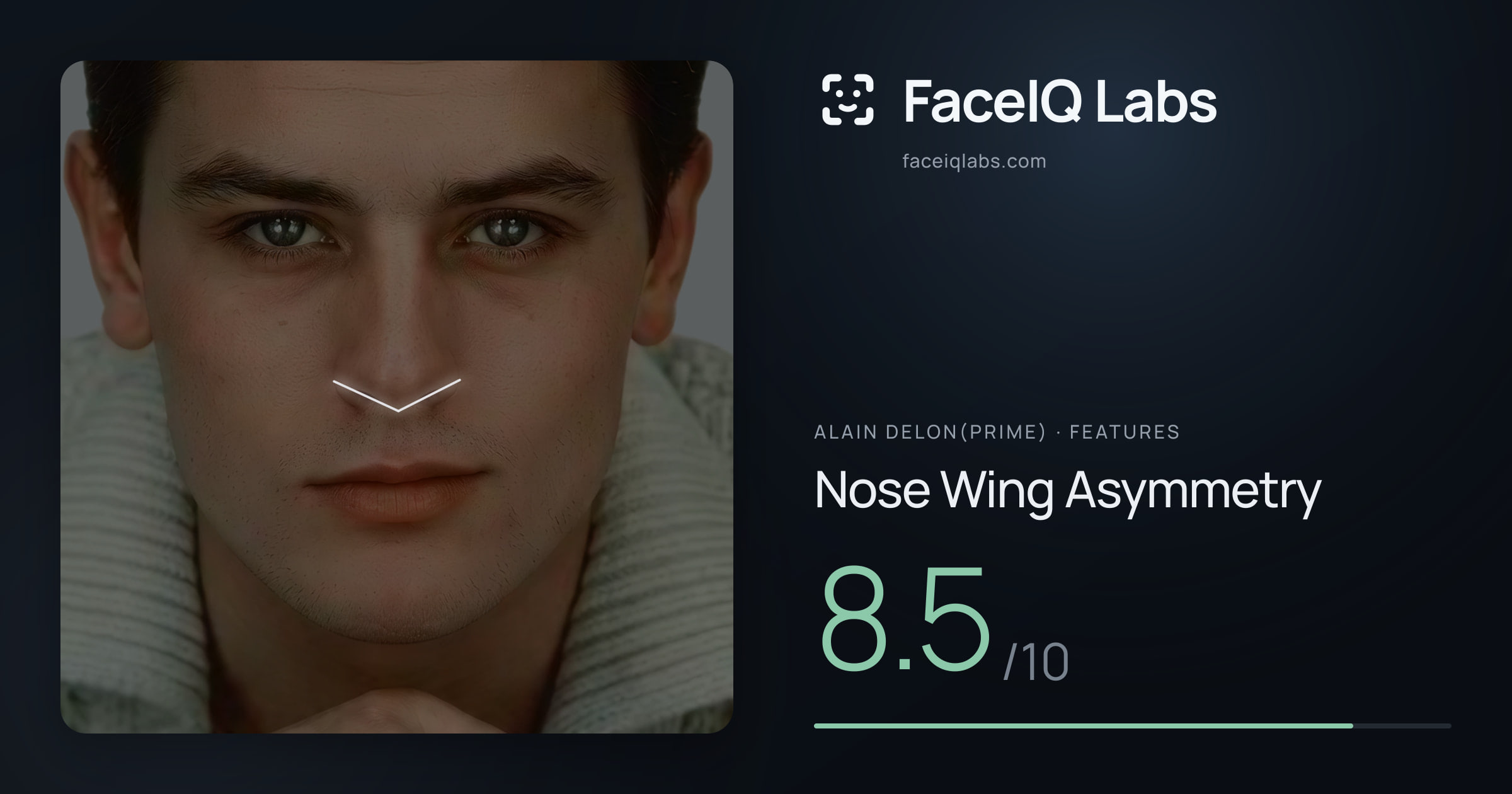 Alain Delon(prime) Nose Wing Asymmetry: 8.5/10, drawn on the photo