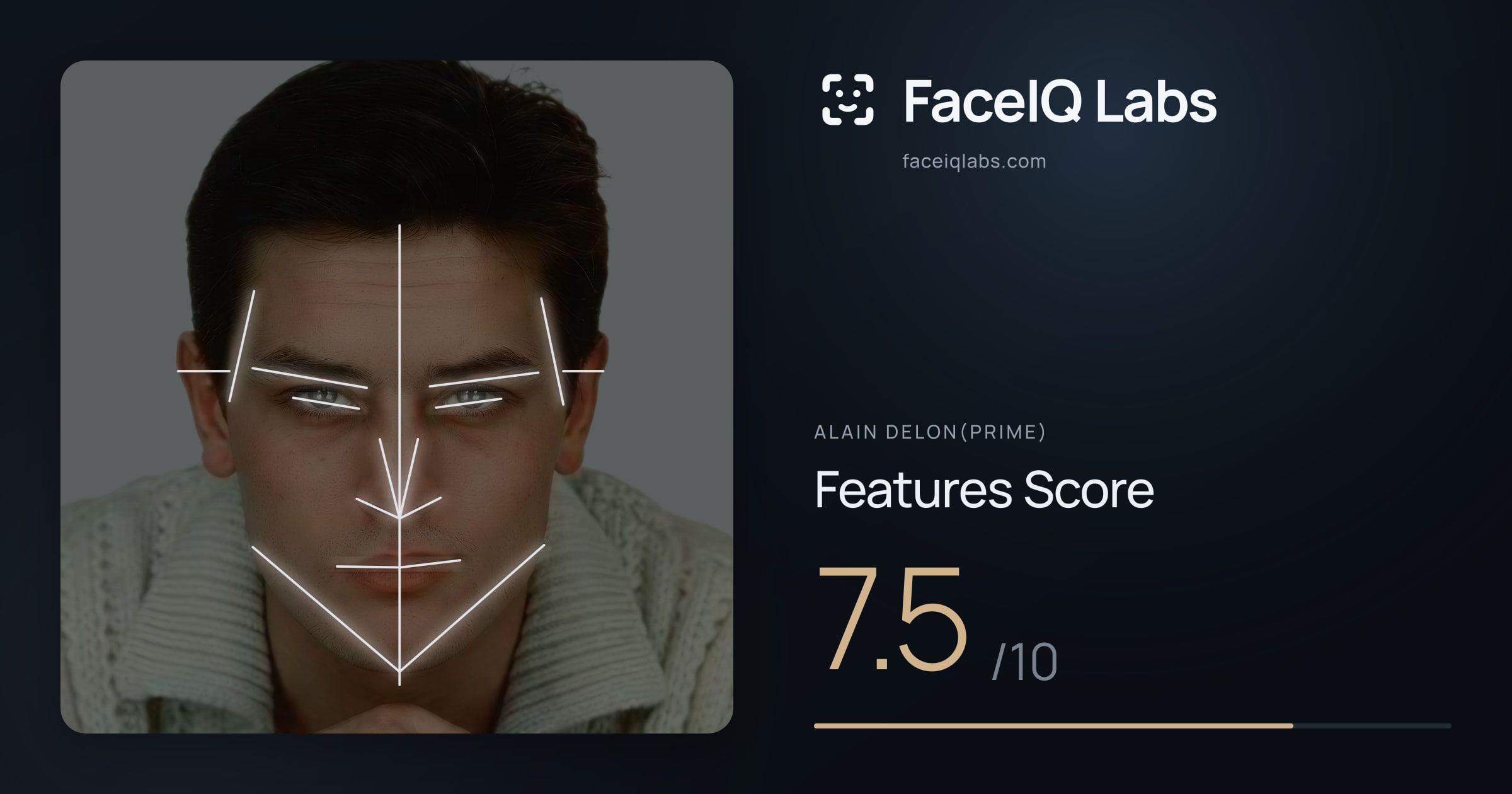 Alain Delon(prime) Features: 7.5/10, with each assessment drawn on the photo