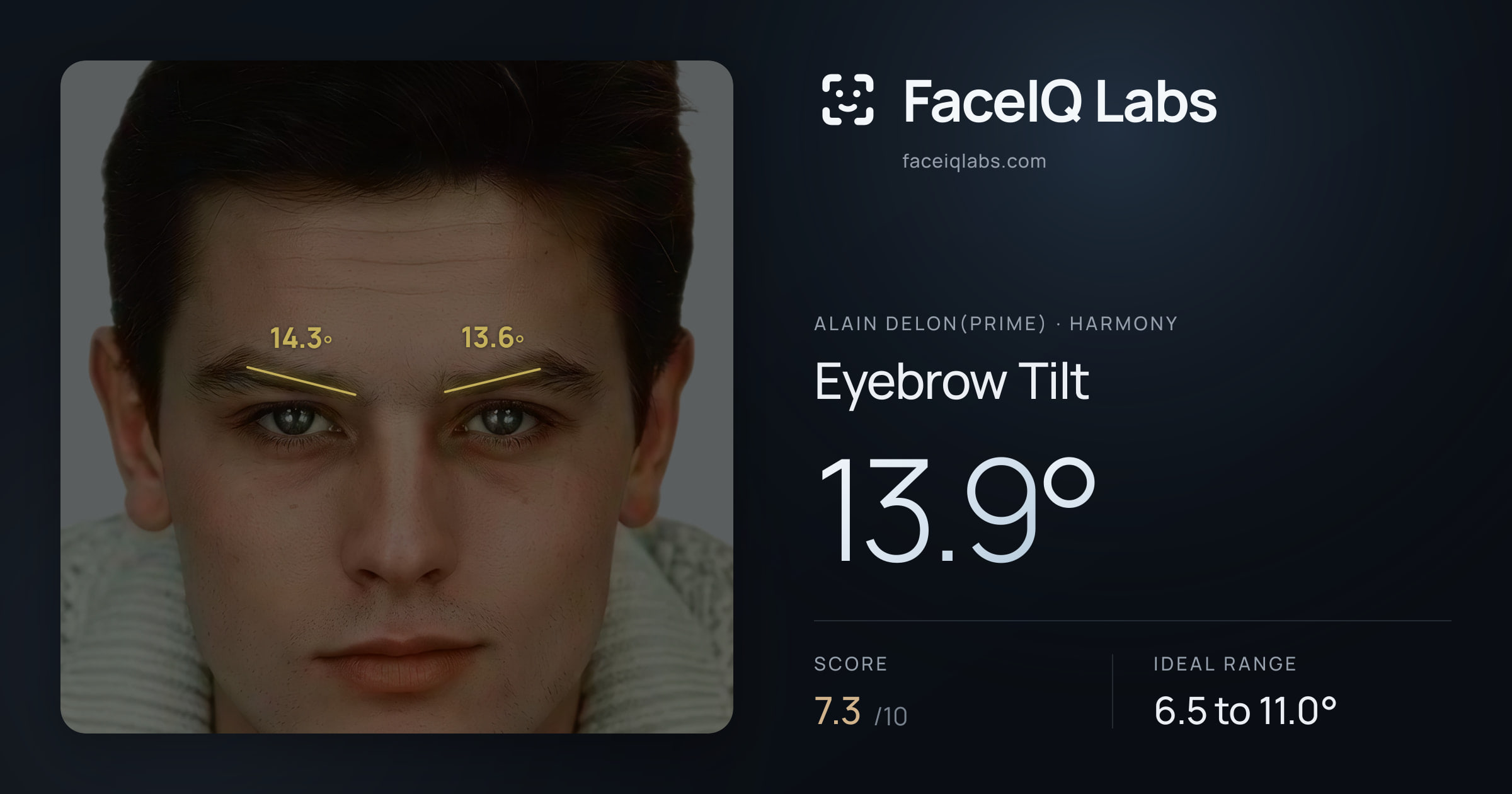 Alain Delon(prime) Eyebrow Tilt: 13.9°, drawn on the photo
