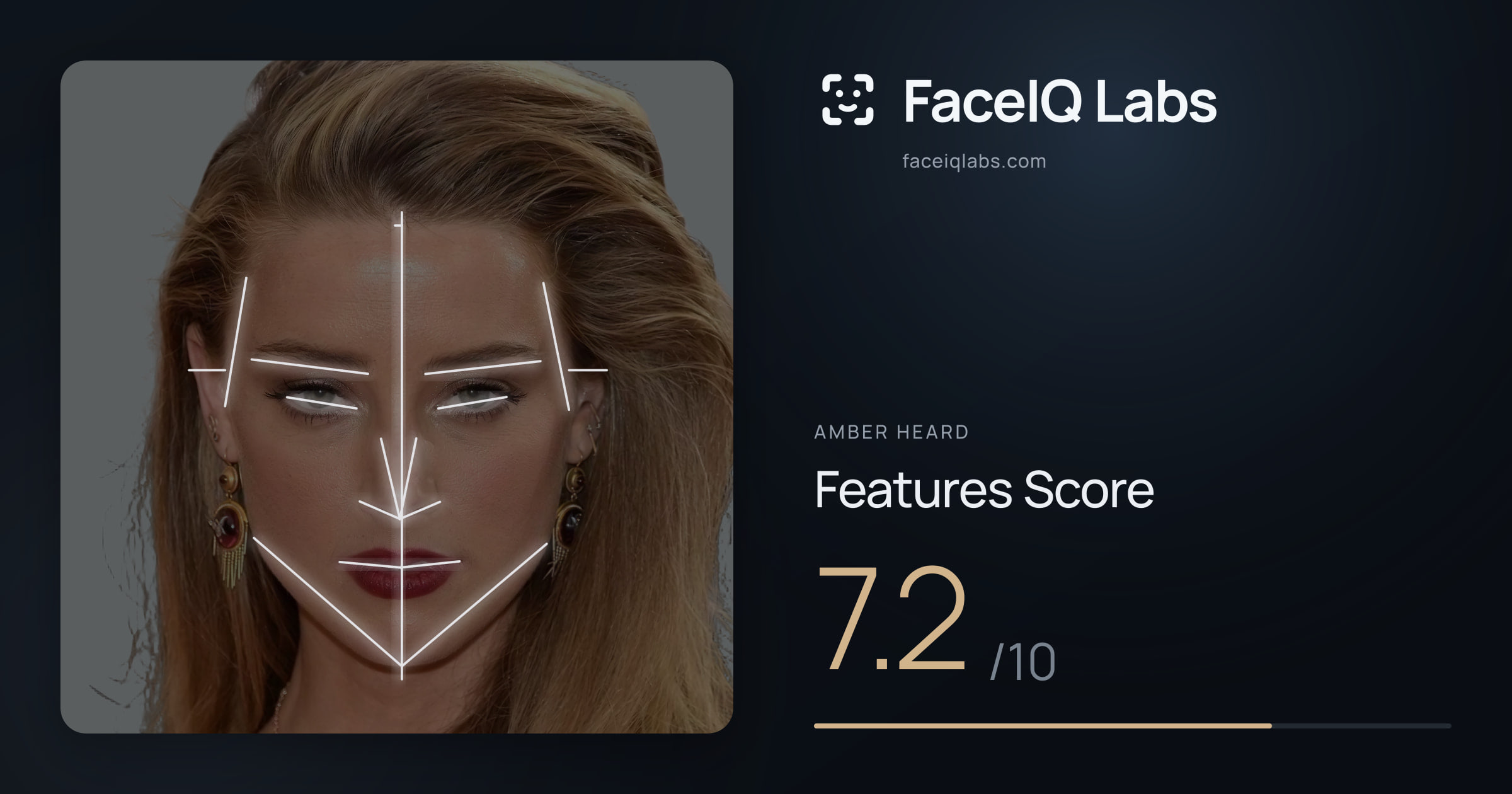 Amber Heard Features: 7.2/10, with each assessment drawn on the photo