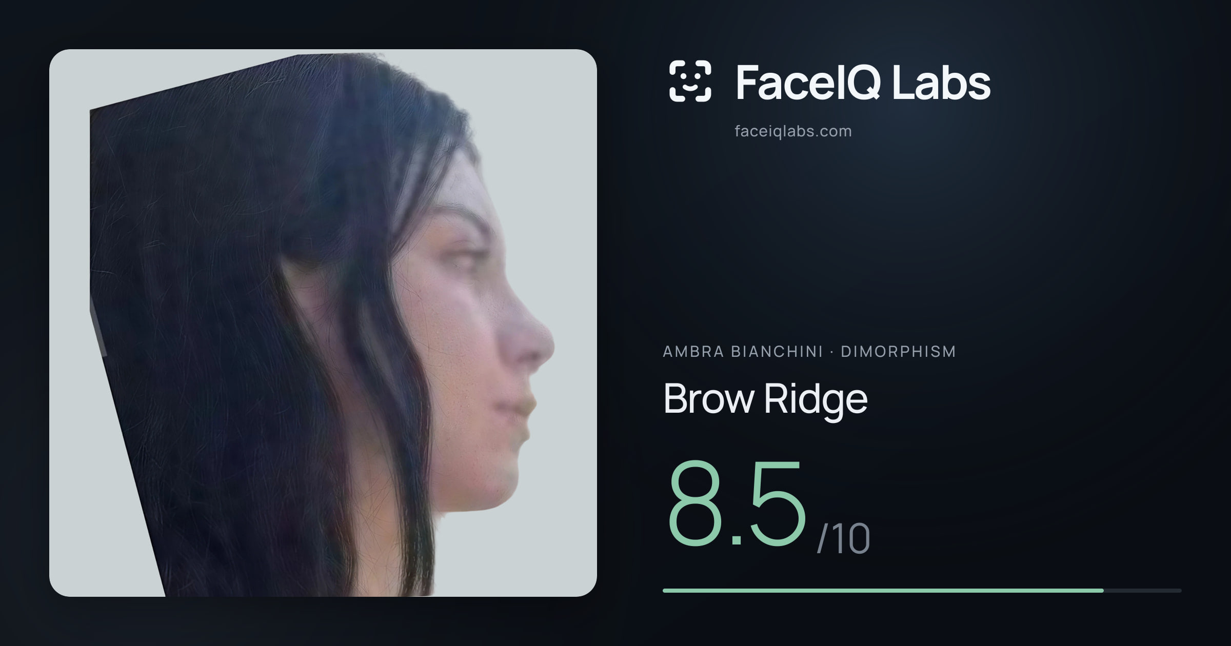 Ambra Bianchini Brow Ridge: 8.5/10, drawn on the photo
