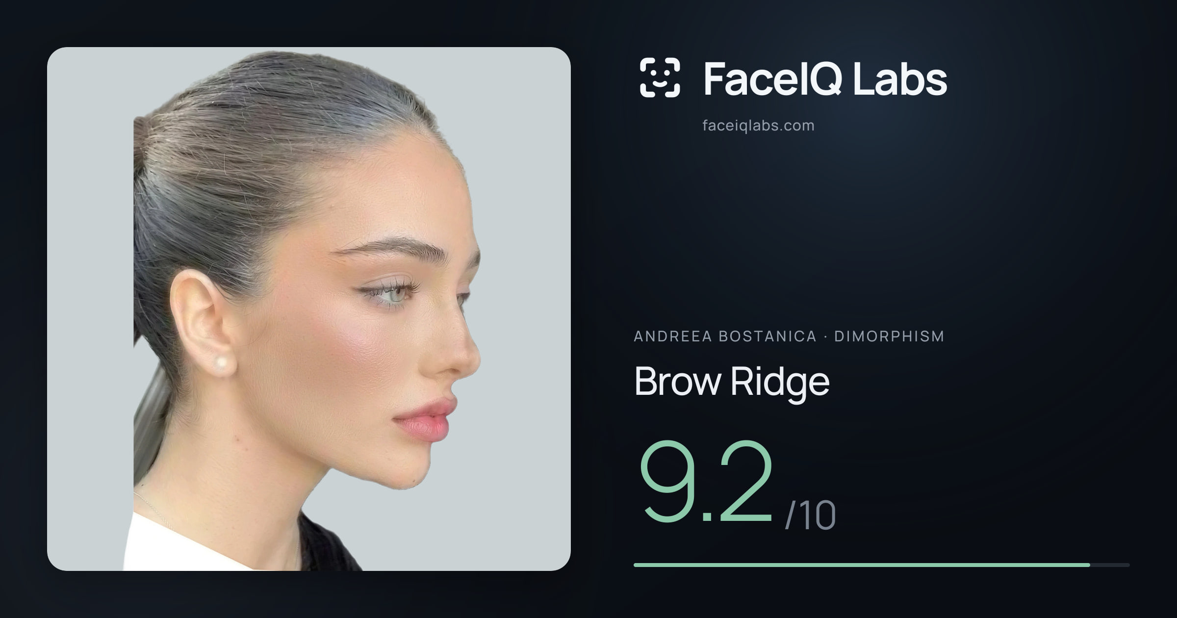 Andreea Bostanica Brow Ridge: 9.2/10, drawn on the photo