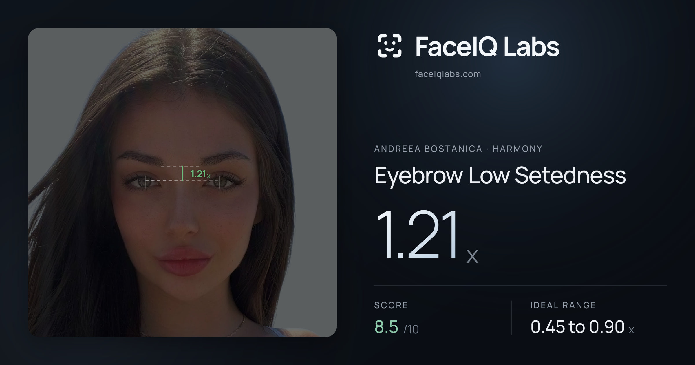 Andreea Bostanica Eyebrow Low Setedness: 1.21x, drawn on the photo