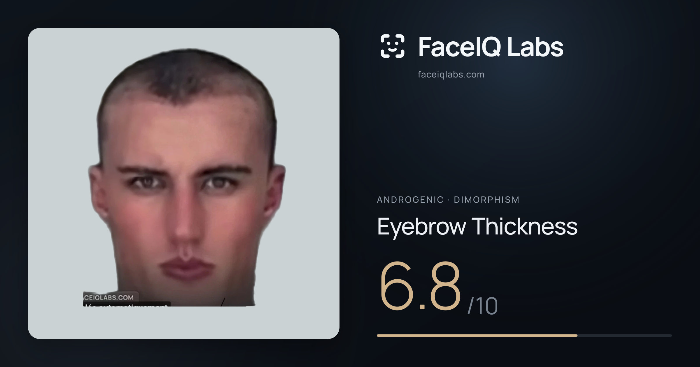 Androgenic Eyebrow Thickness: 6.8/10, drawn on the photo