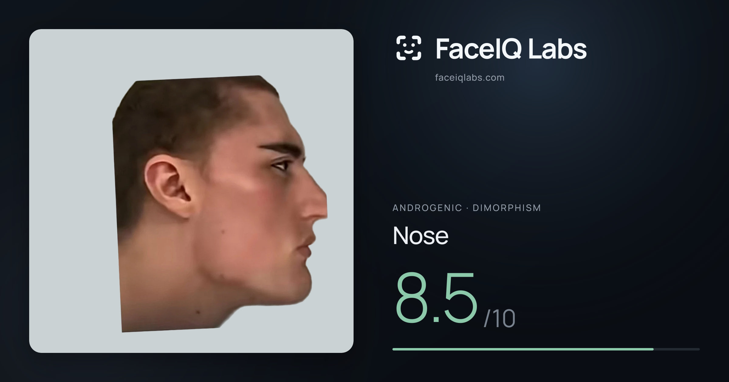 Androgenic Nose: 8.5/10, drawn on the photo
