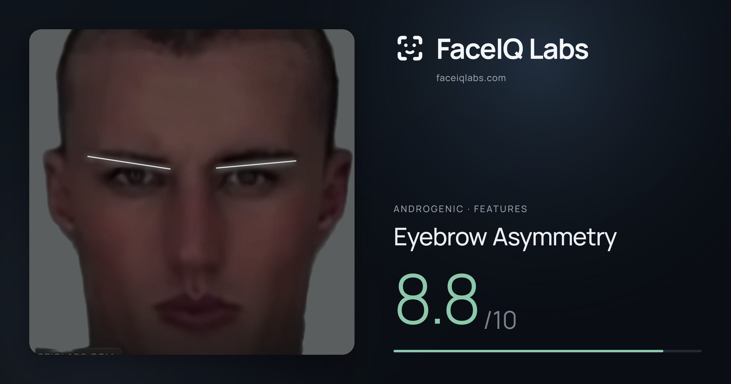 Androgenic Eyebrow Asymmetry: 8.8/10, drawn on the photo