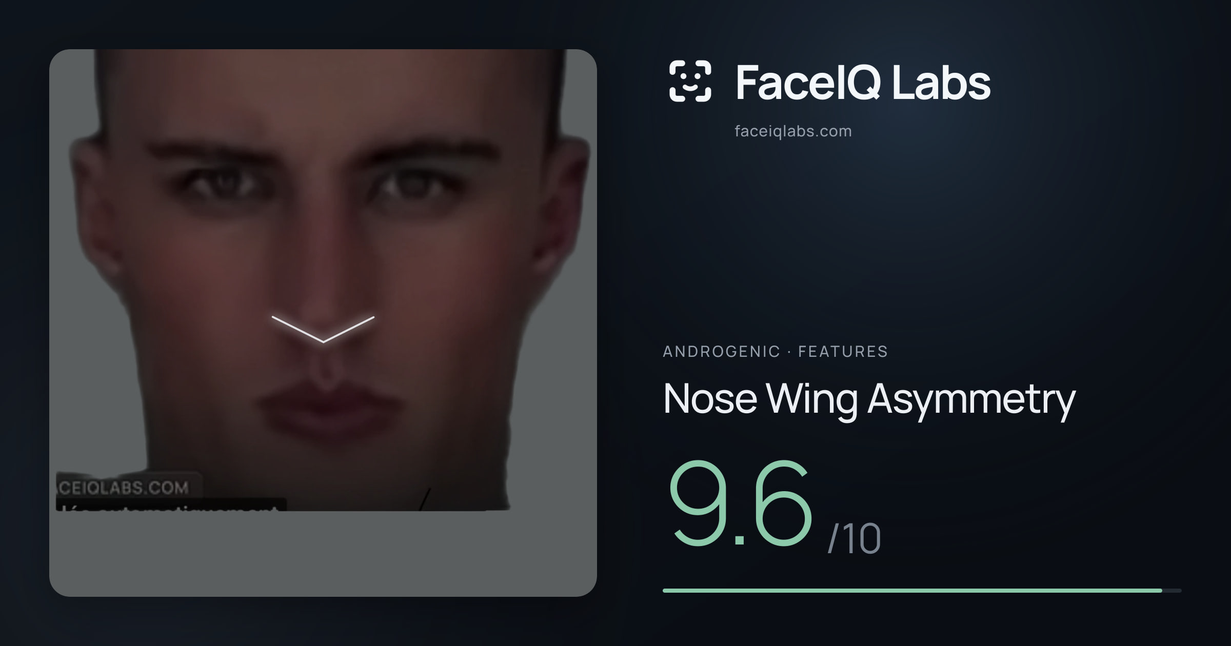 Androgenic Nose Wing Asymmetry: 9.6/10, drawn on the photo