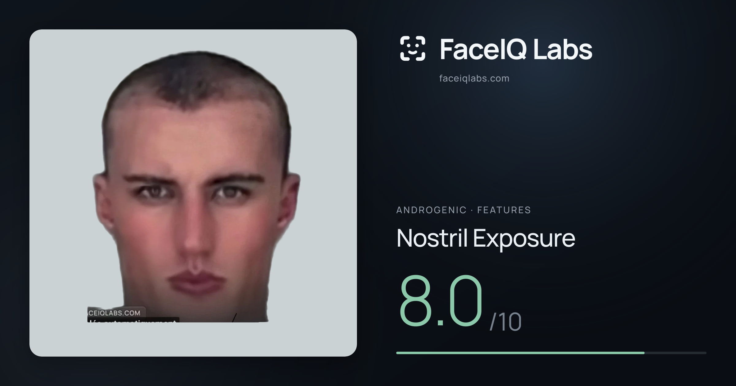 Androgenic Nostril Exposure: 8.0/10, drawn on the photo