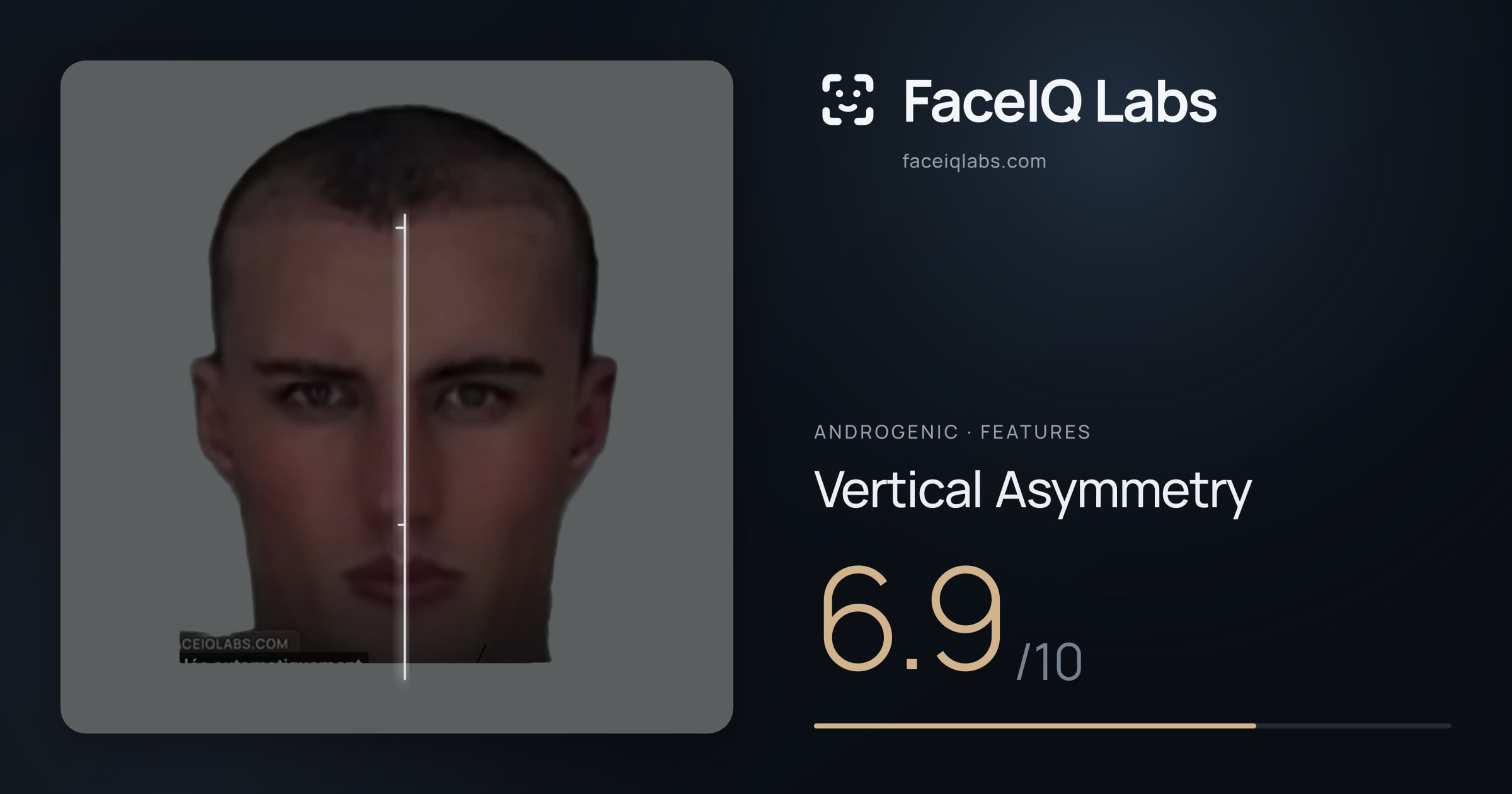 Androgenic Vertical Asymmetry: 6.9/10, drawn on the photo