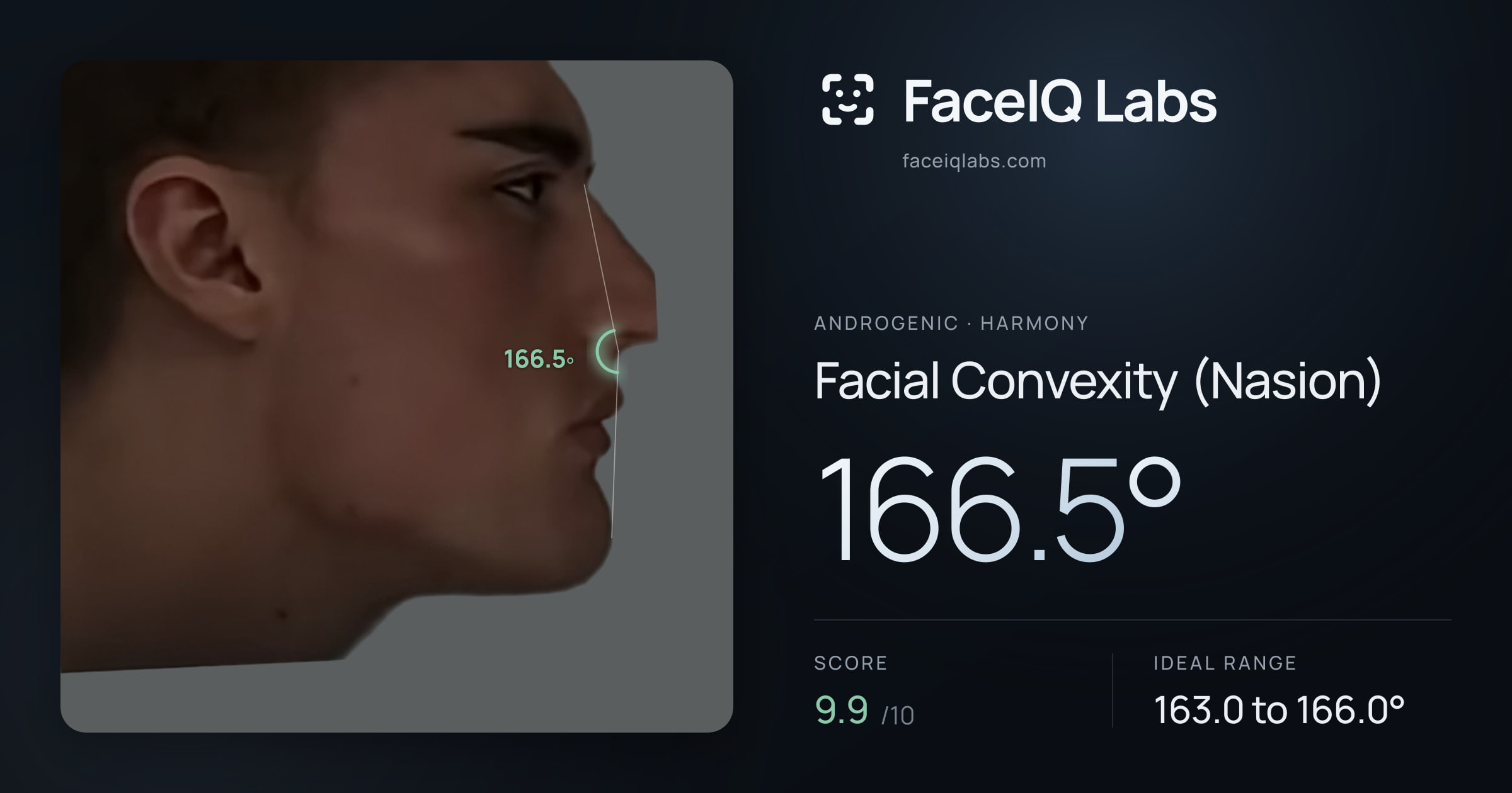 Androgenic Facial Convexity (Nasion): 166.5°, drawn on the photo