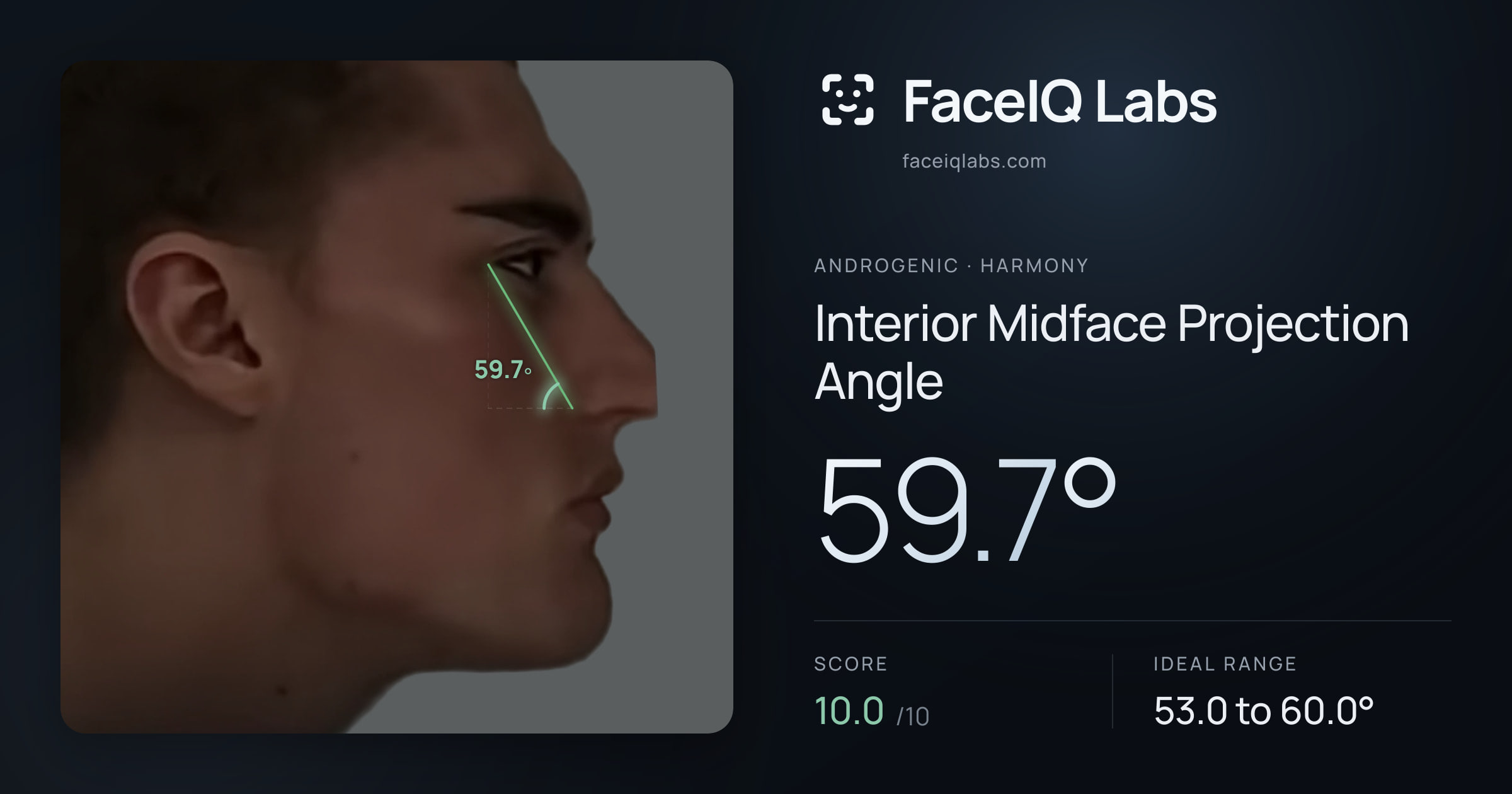Androgenic Interior Midface Projection Angle: 60.6°, drawn on the photo
