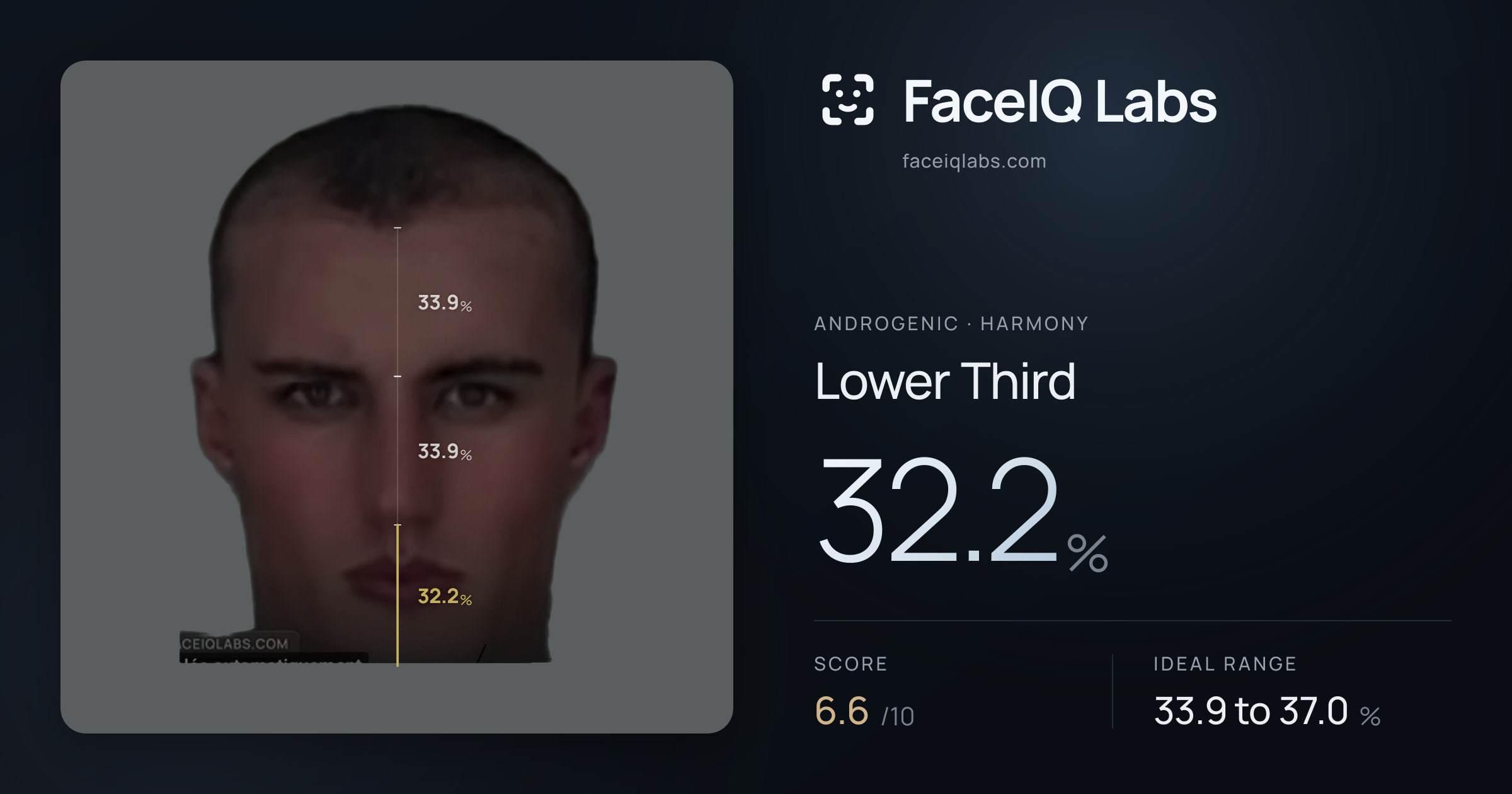 Androgenic Lower Third: 32.2%, drawn on the photo