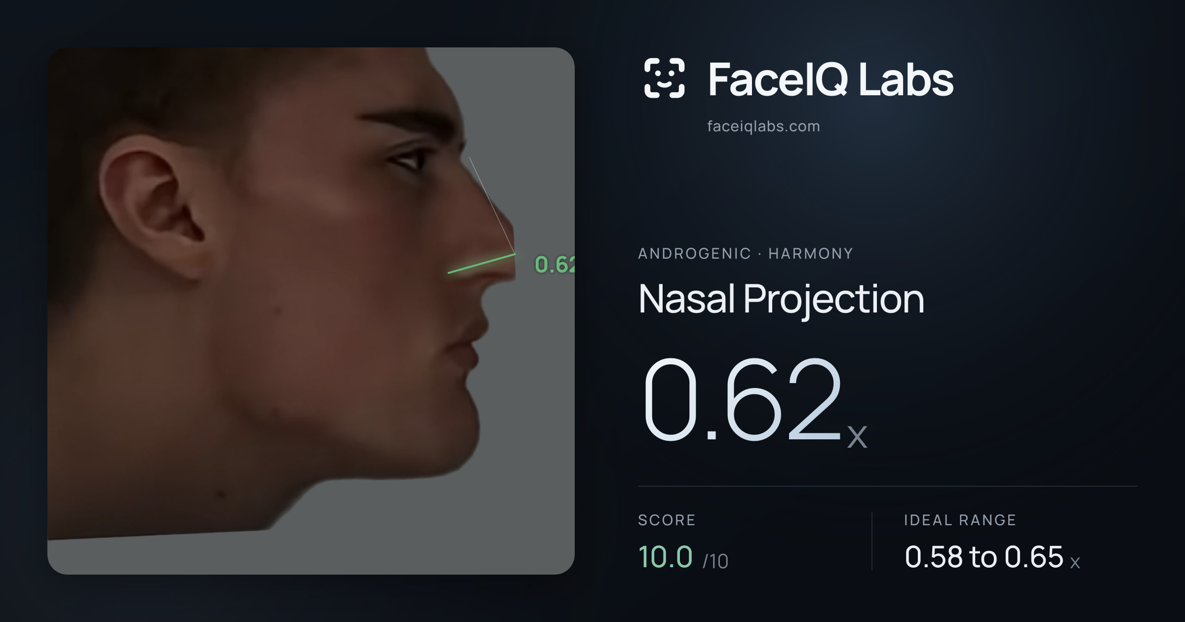 Androgenic Nasal Projection: 0.61x, drawn on the photo