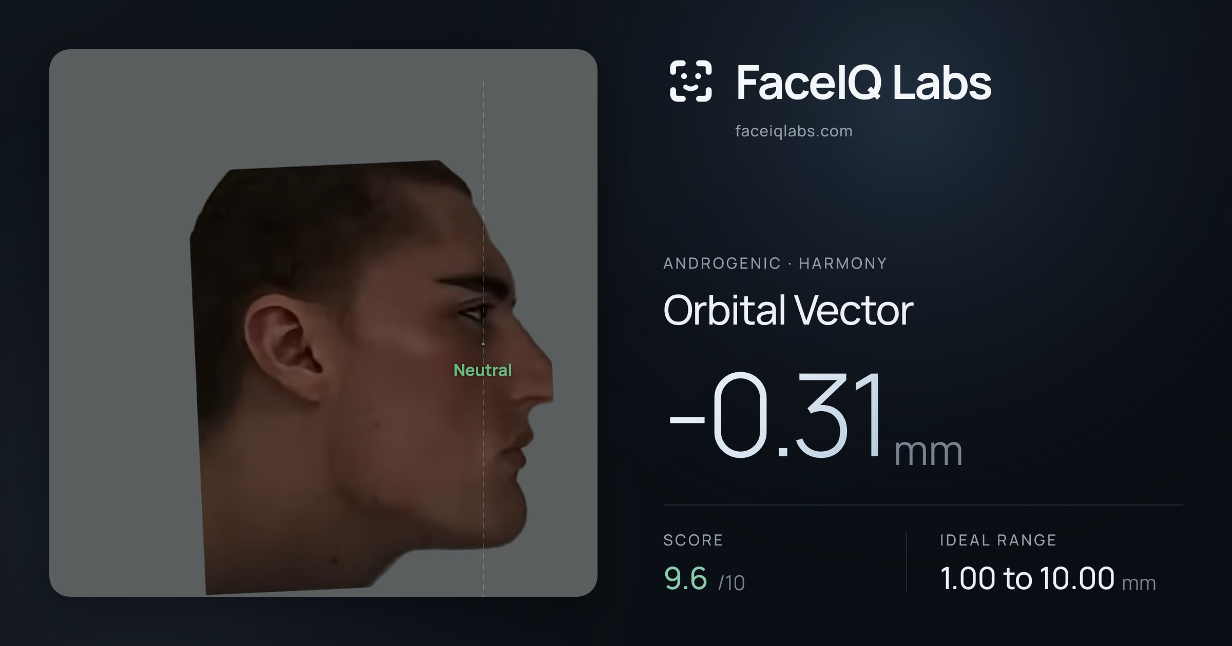 Androgenic Orbital Vector: -0.31mm, drawn on the photo
