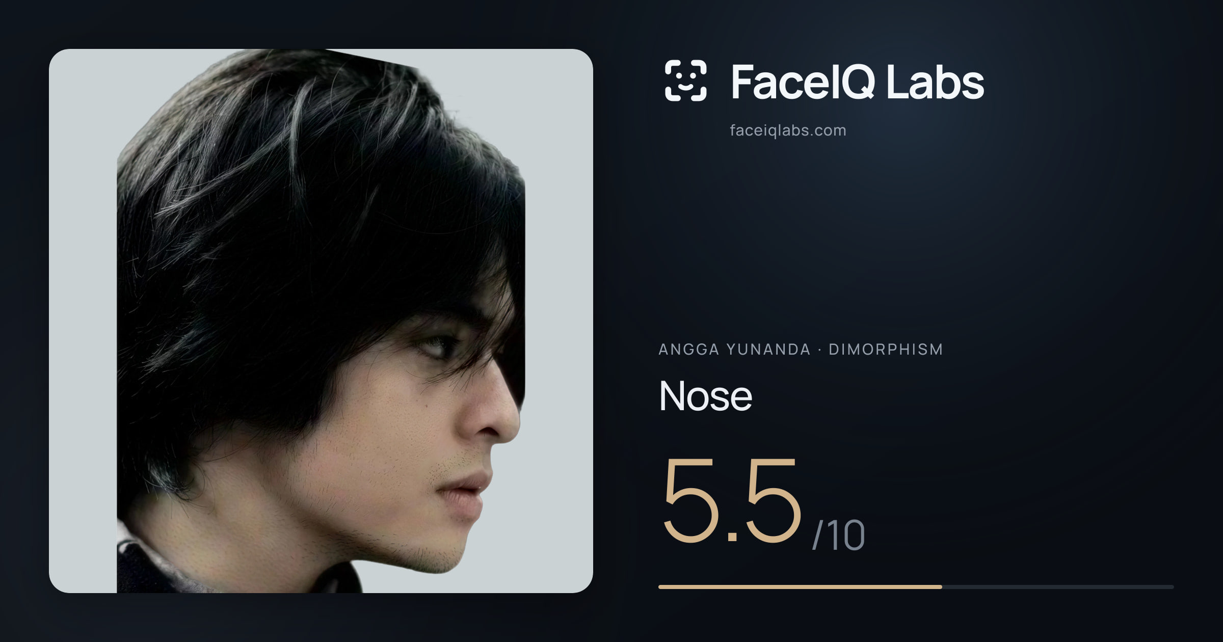 Angga Yunanda Nose: 5.5/10, drawn on the photo