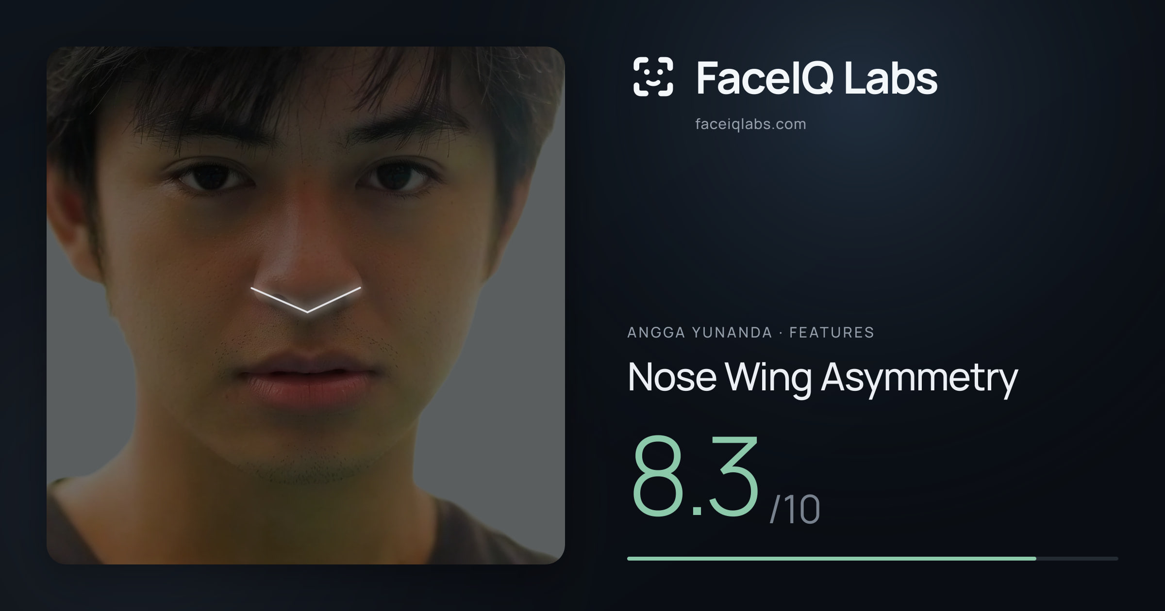 Angga Yunanda Nose Wing Asymmetry: 8.3/10, drawn on the photo